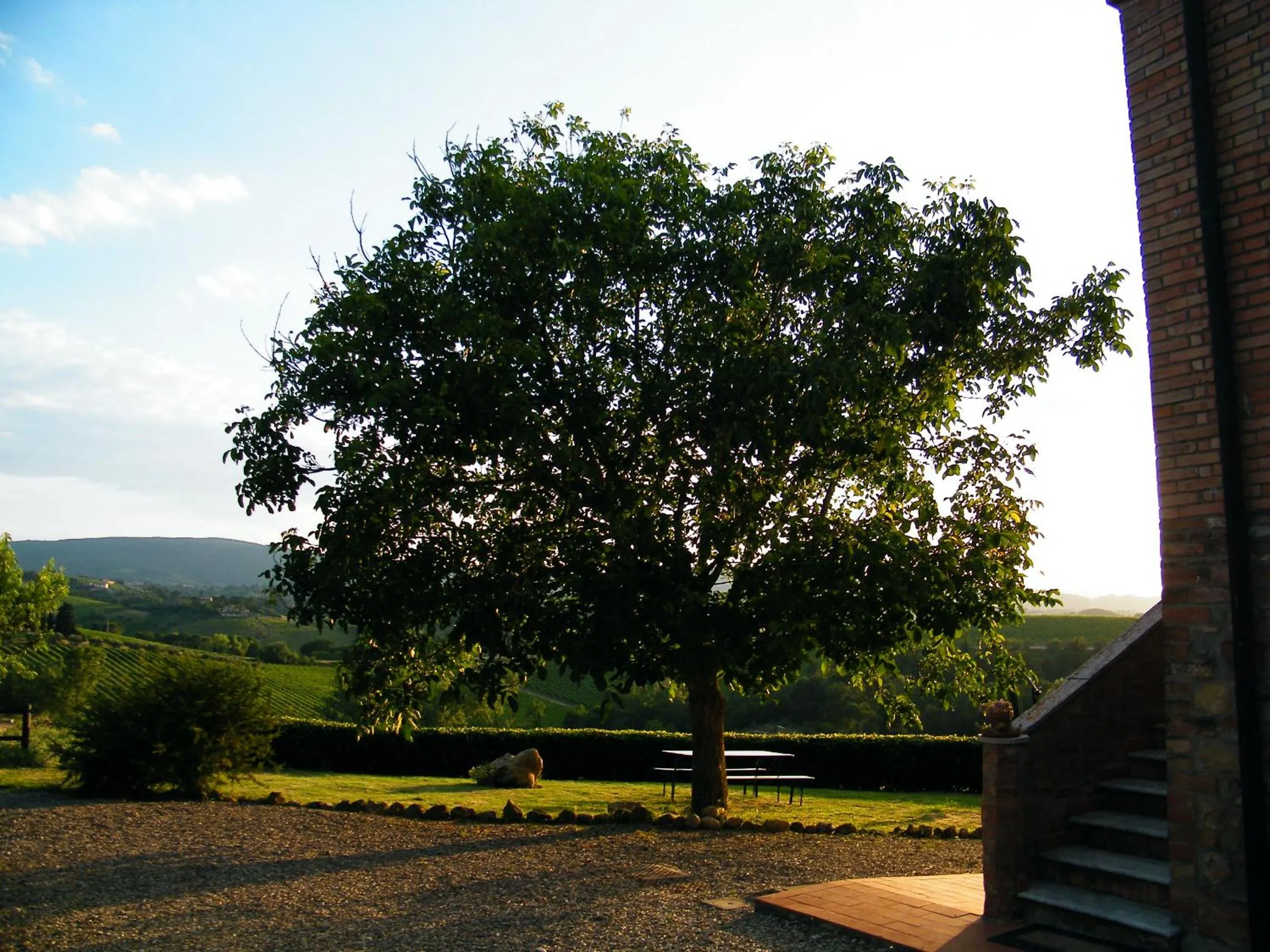 Garden in Agriturismo Montegonfoli