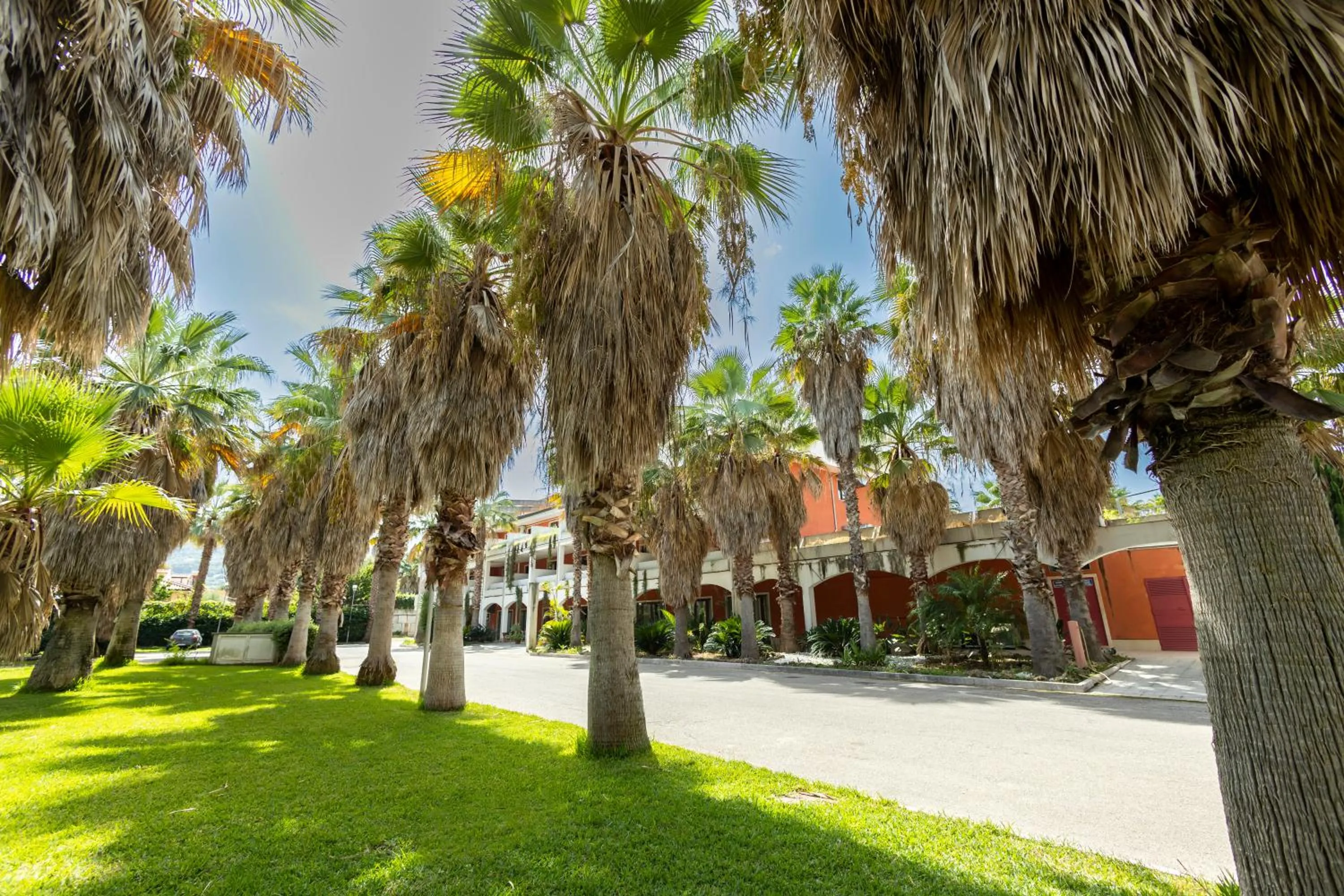 Garden view in Prince Franklyn Hotel