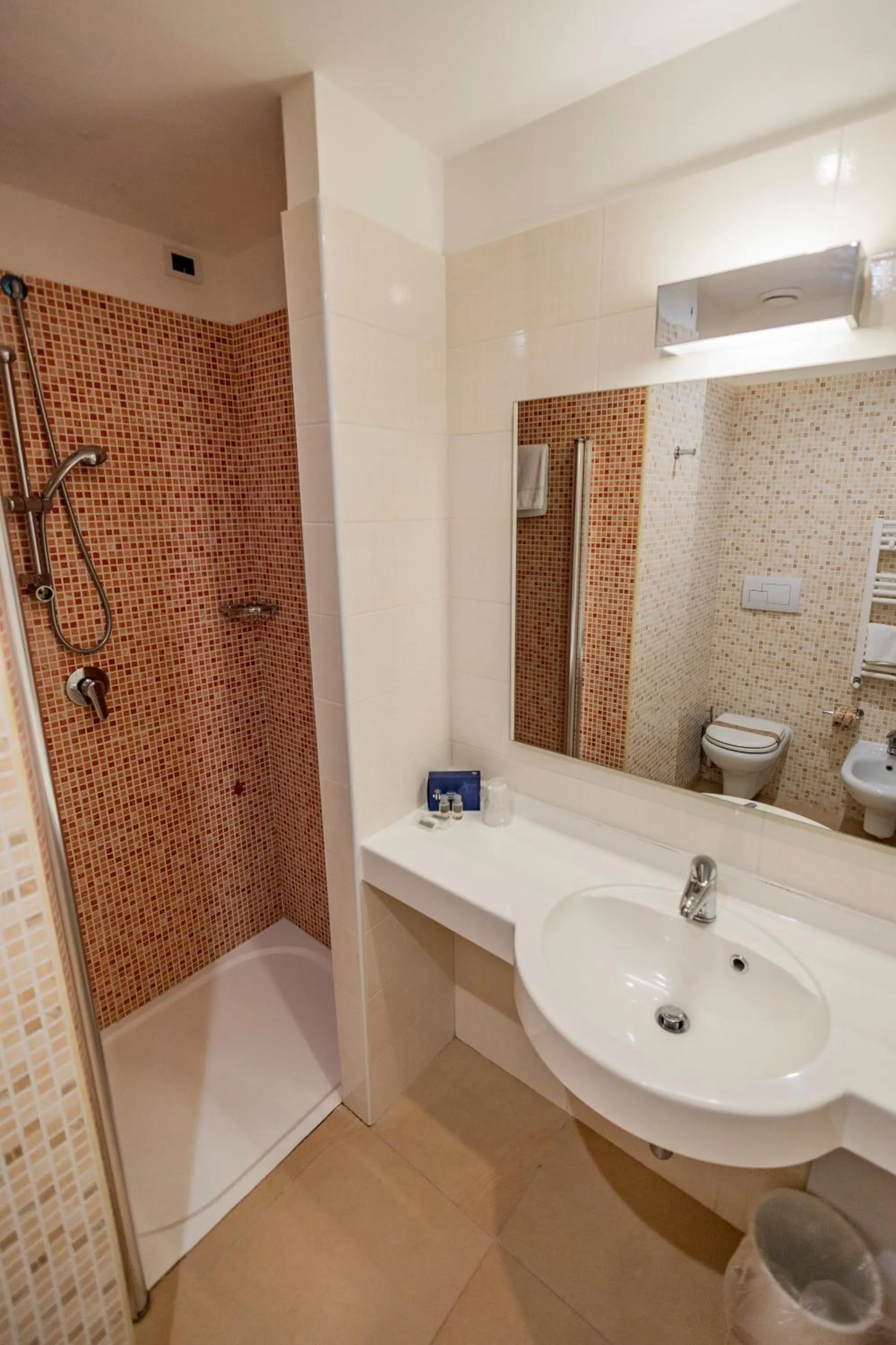 Shower in Prince Franklyn Hotel