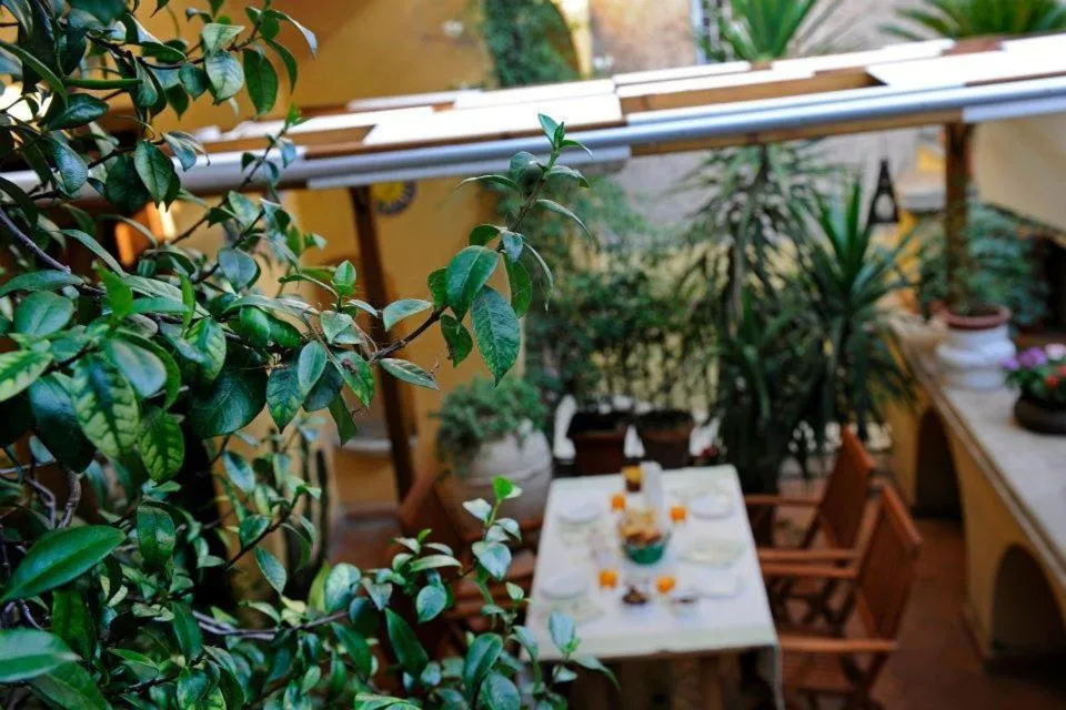 Restaurant/places to eat in Palazzo Maggiore