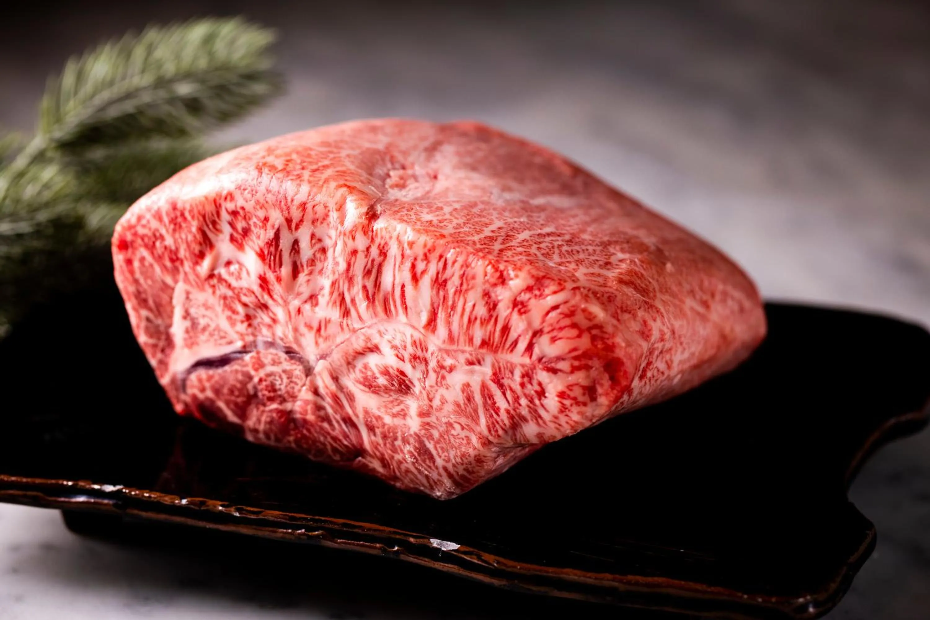 Dinner in Hotel Io Alpheratz