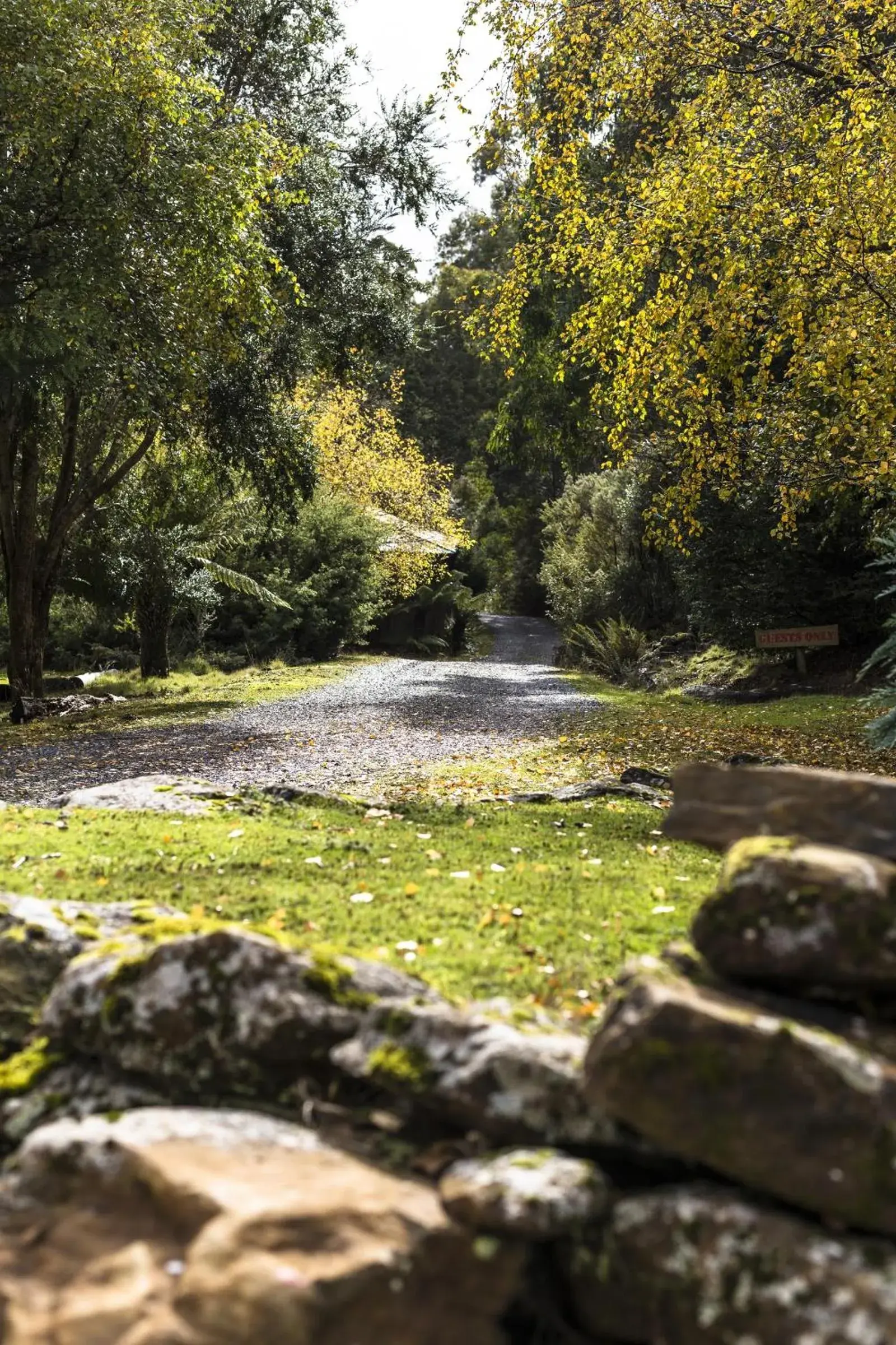 Garden view in Cradle forest inn Garden view in Cradle forest inn