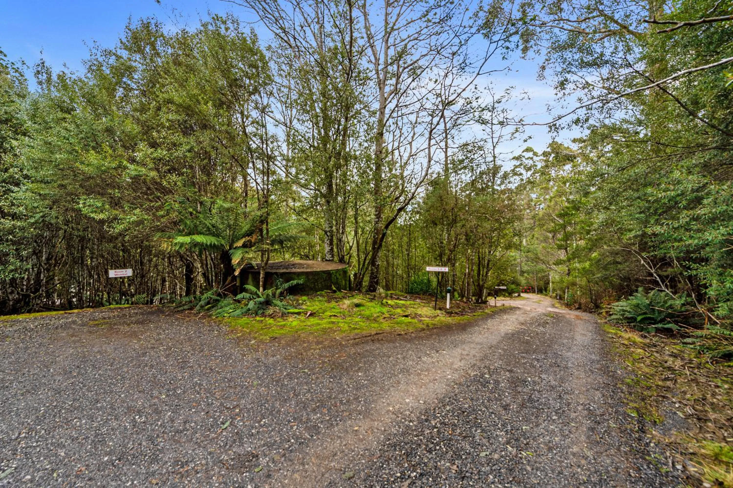 Garden in Cradle forest inn