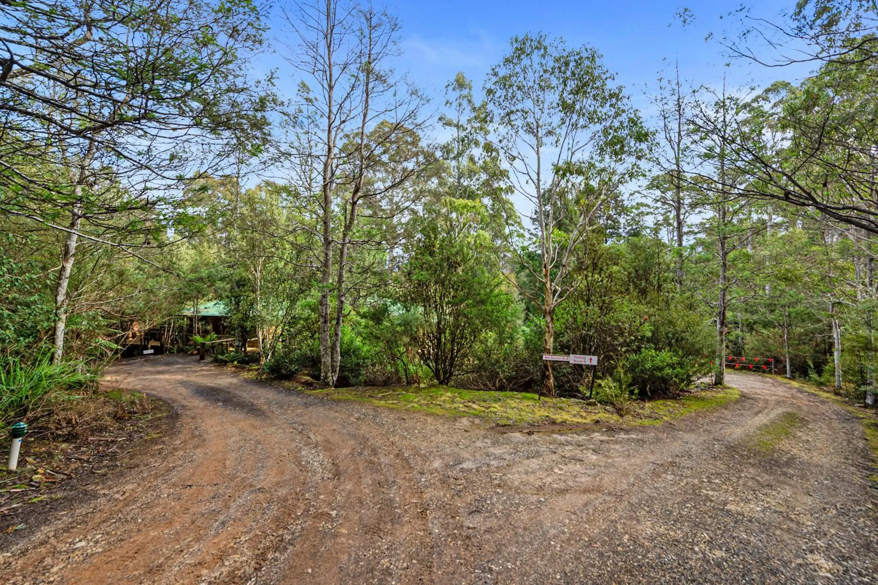 Property building in Cradle forest inn Property building in Cradle forest inn