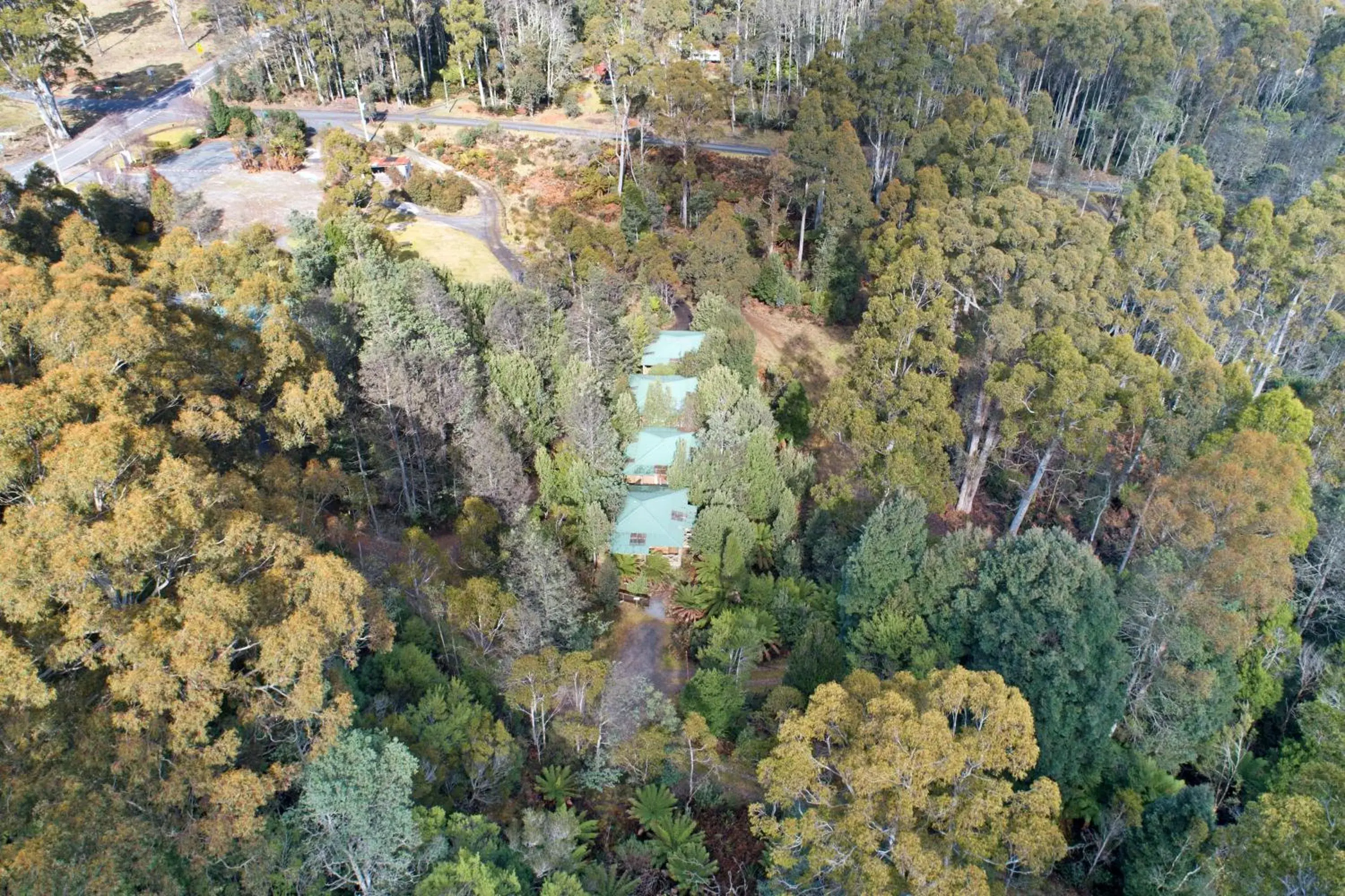 Property building in Cradle forest inn Property building in Cradle forest inn