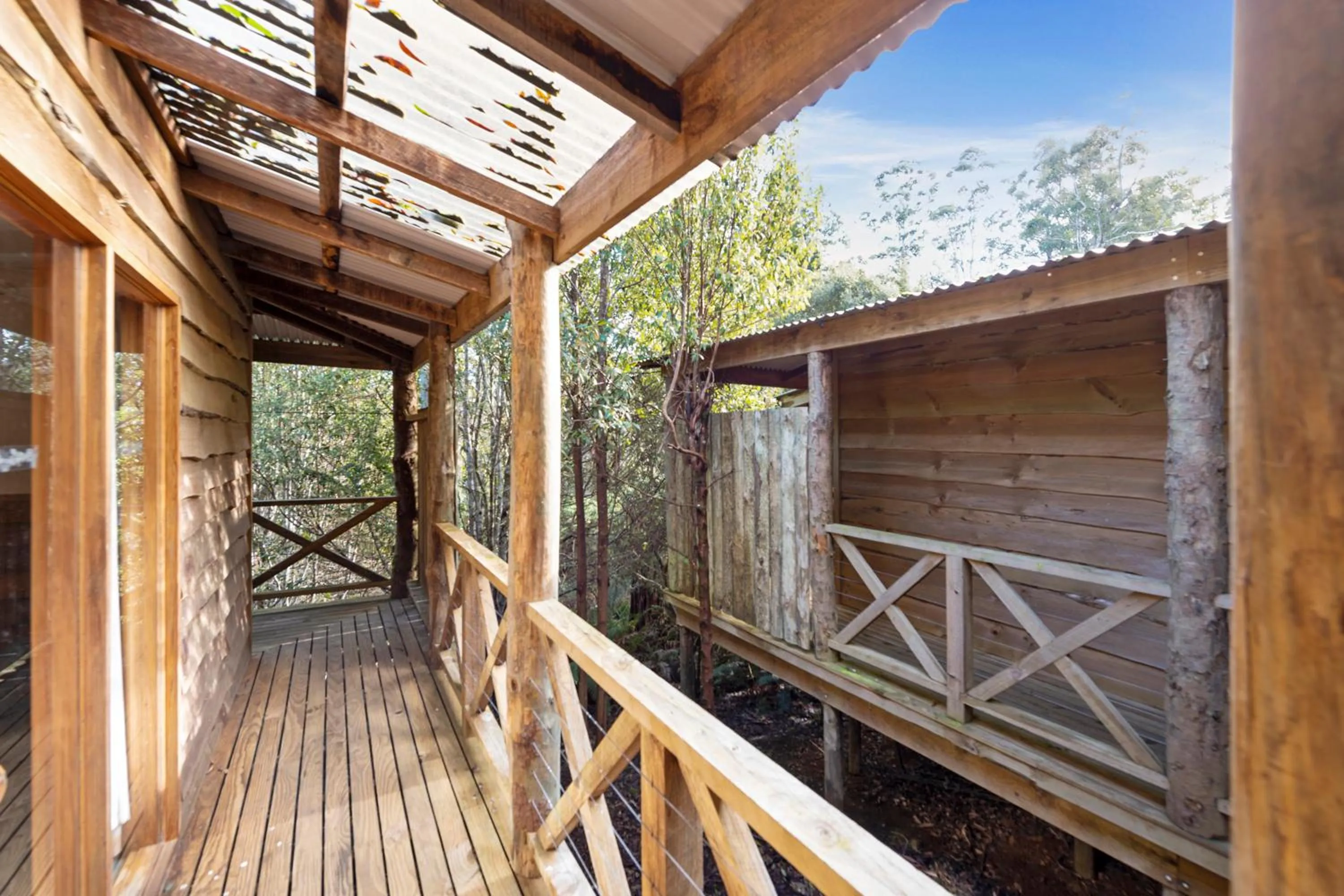 Property building in Cradle forest inn