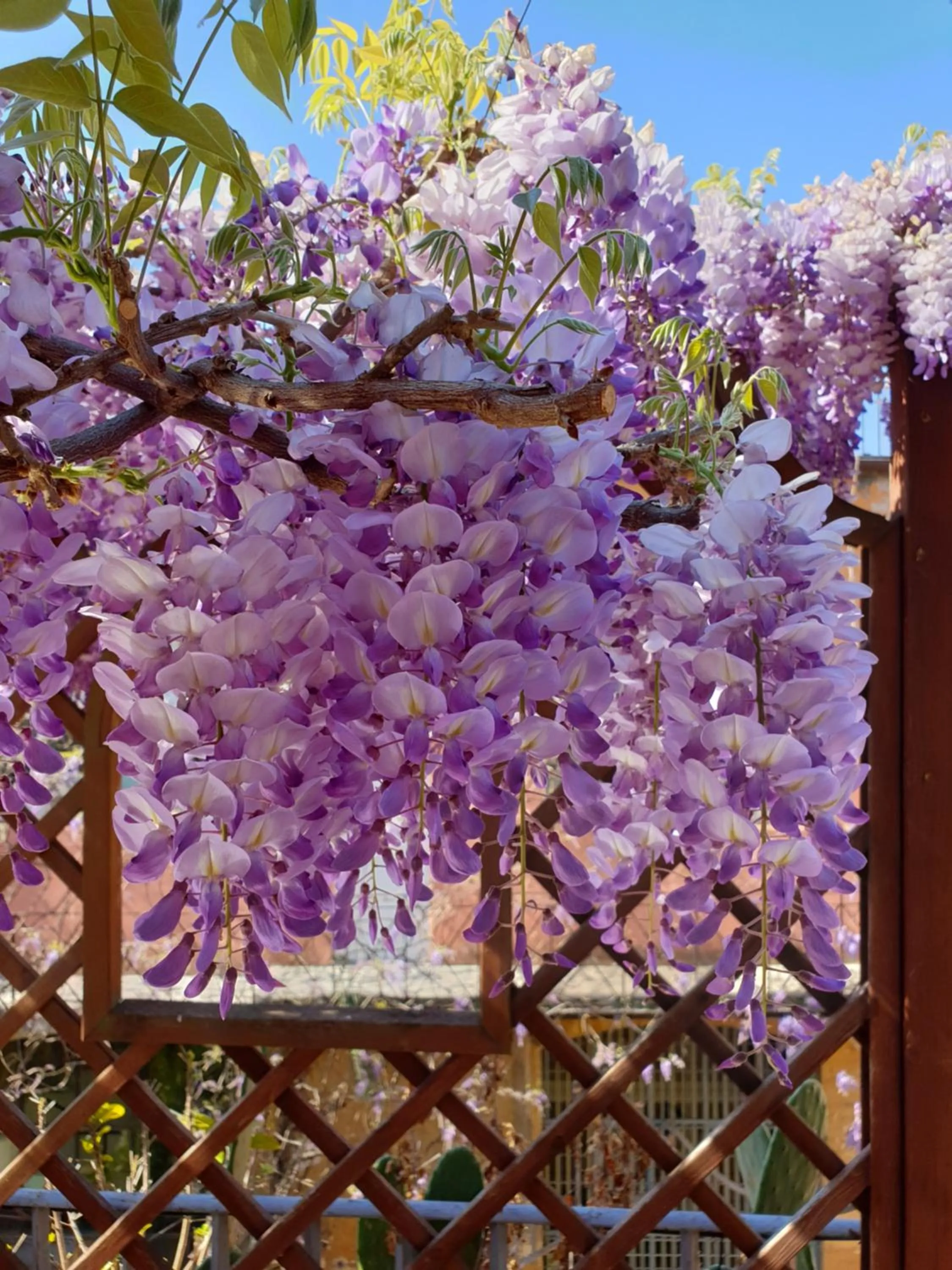 Episcopo Lipinsky Luxury Suites