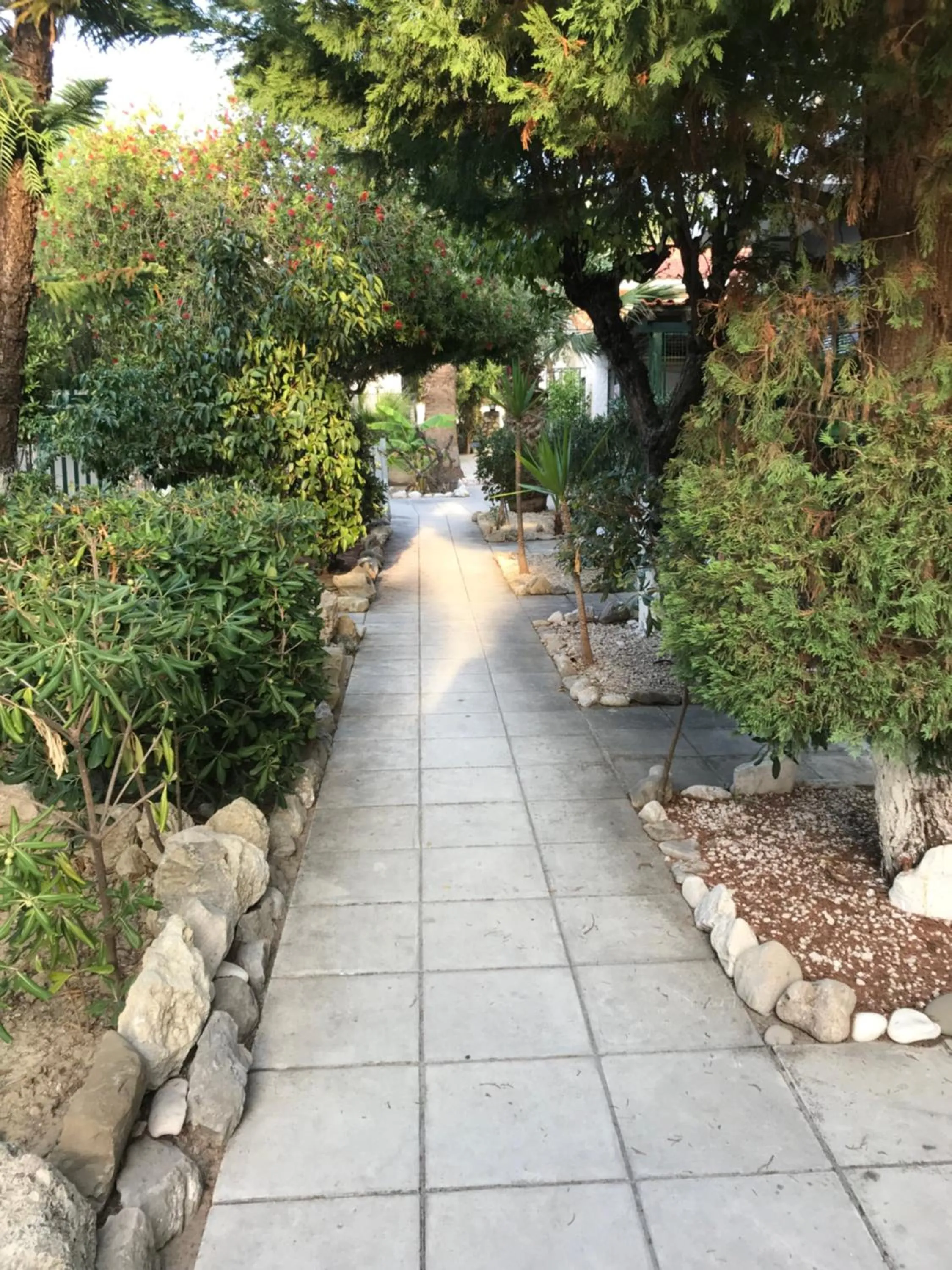 Property building in MERLIS Studios