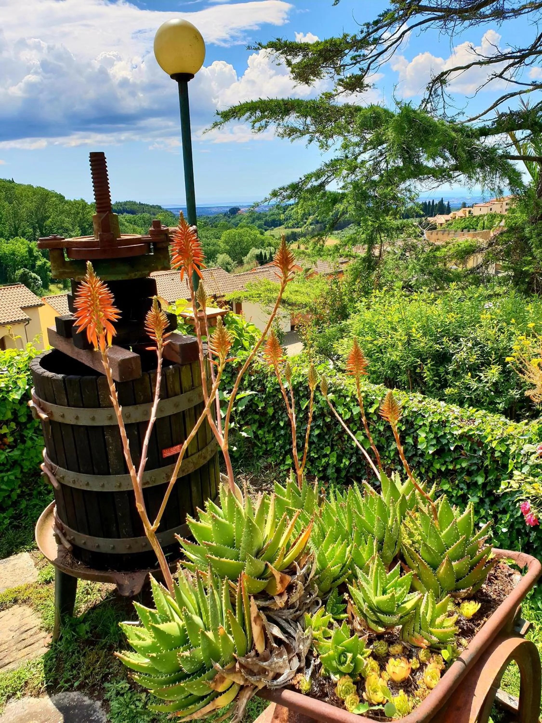 Garden in Residence Villa Elena