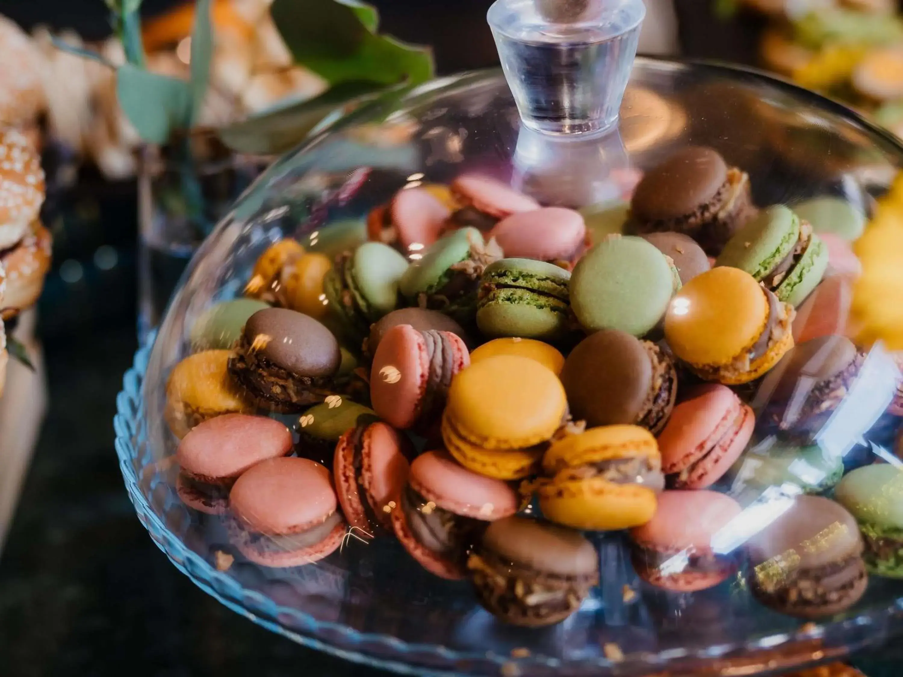 Property building in Mercure Timisoara Property building in Mercure Timisoara