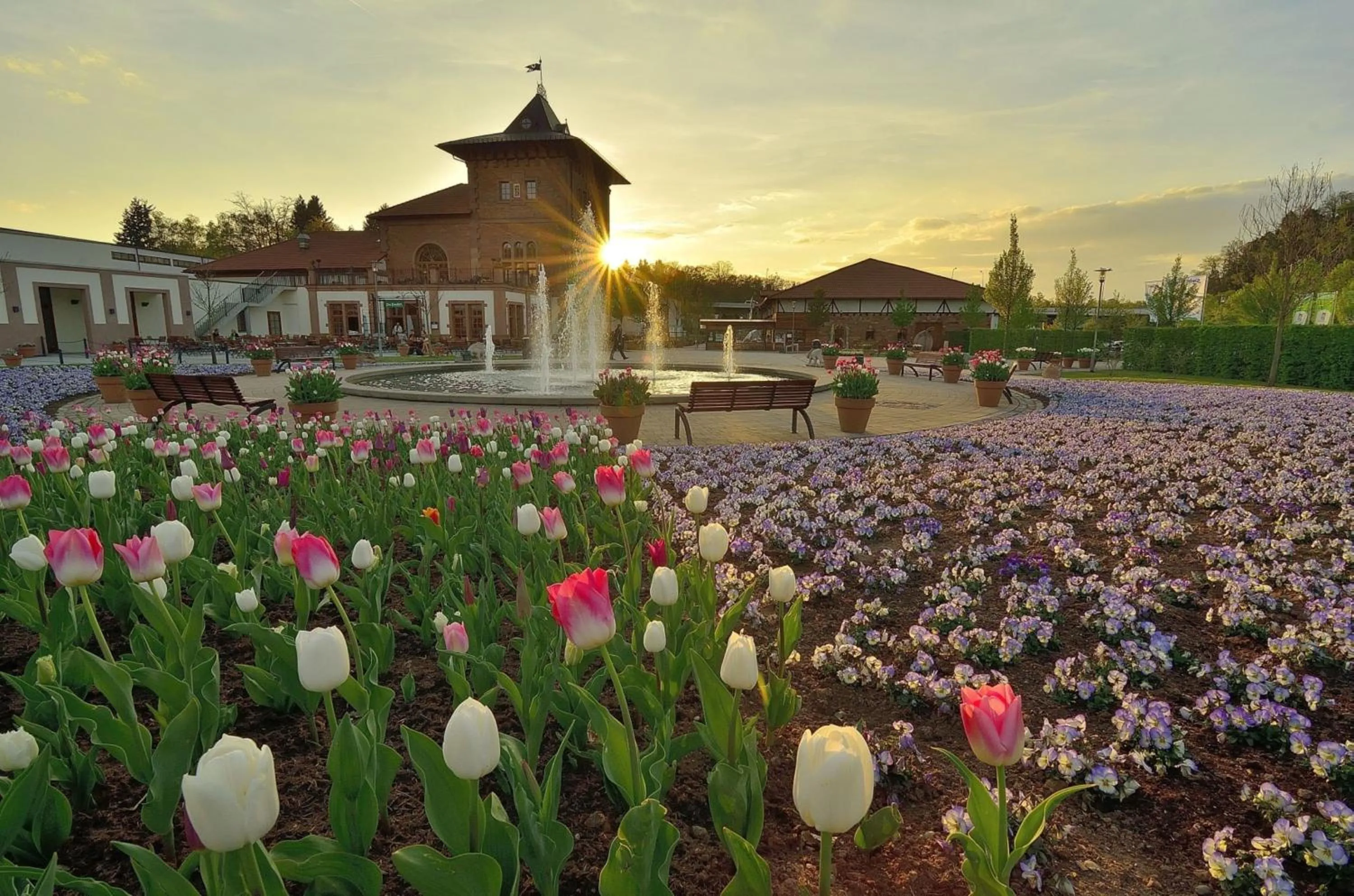 Nearby landmark in Holiday Inn Express - Kaiserslautern by IHG