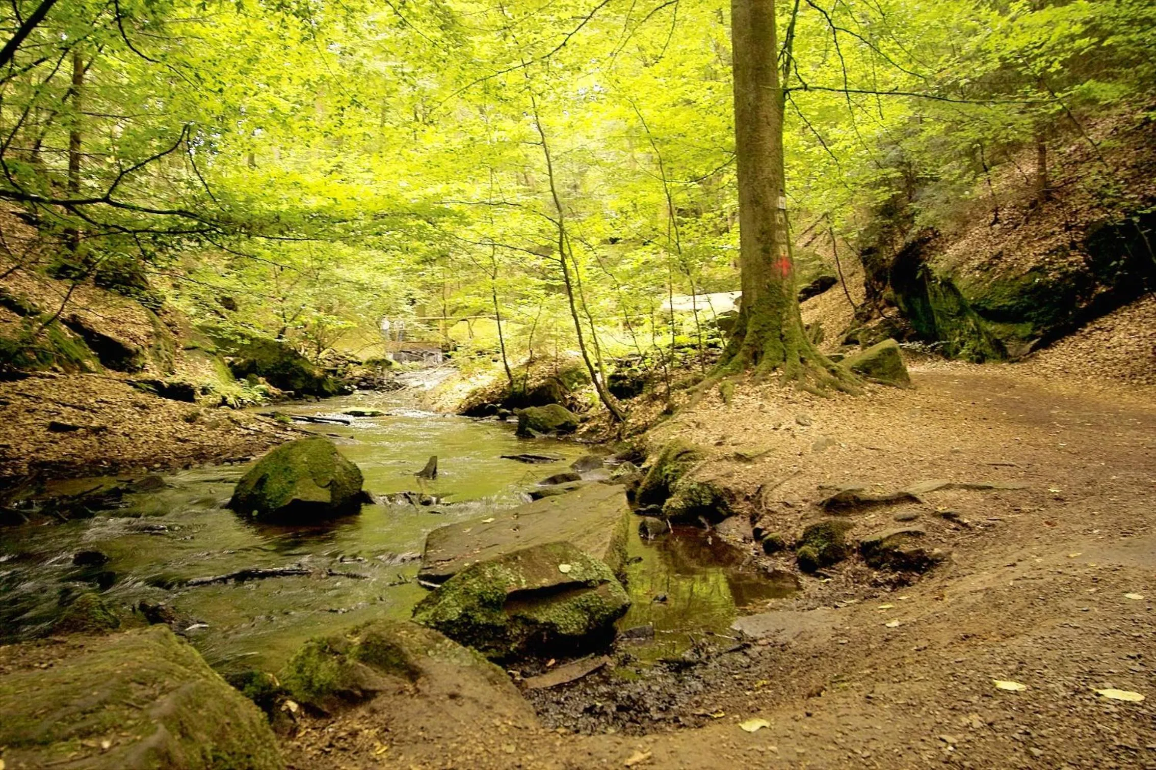 Natural landscape in Holiday Inn Express - Kaiserslautern by IHG