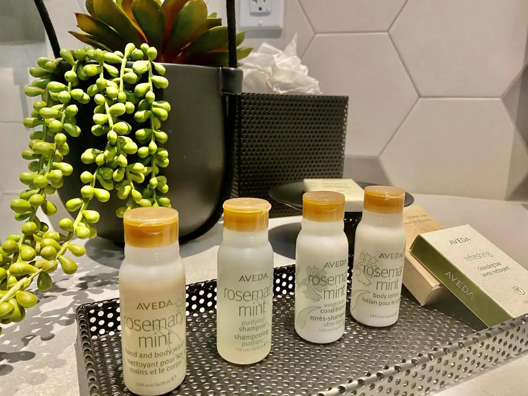 Premium King Room with Sofa Bed in Hotel Indigo Miami Brickell by IHG Premium King Room with Sofa Bed in Hotel Indigo Miami Brickell by IHG