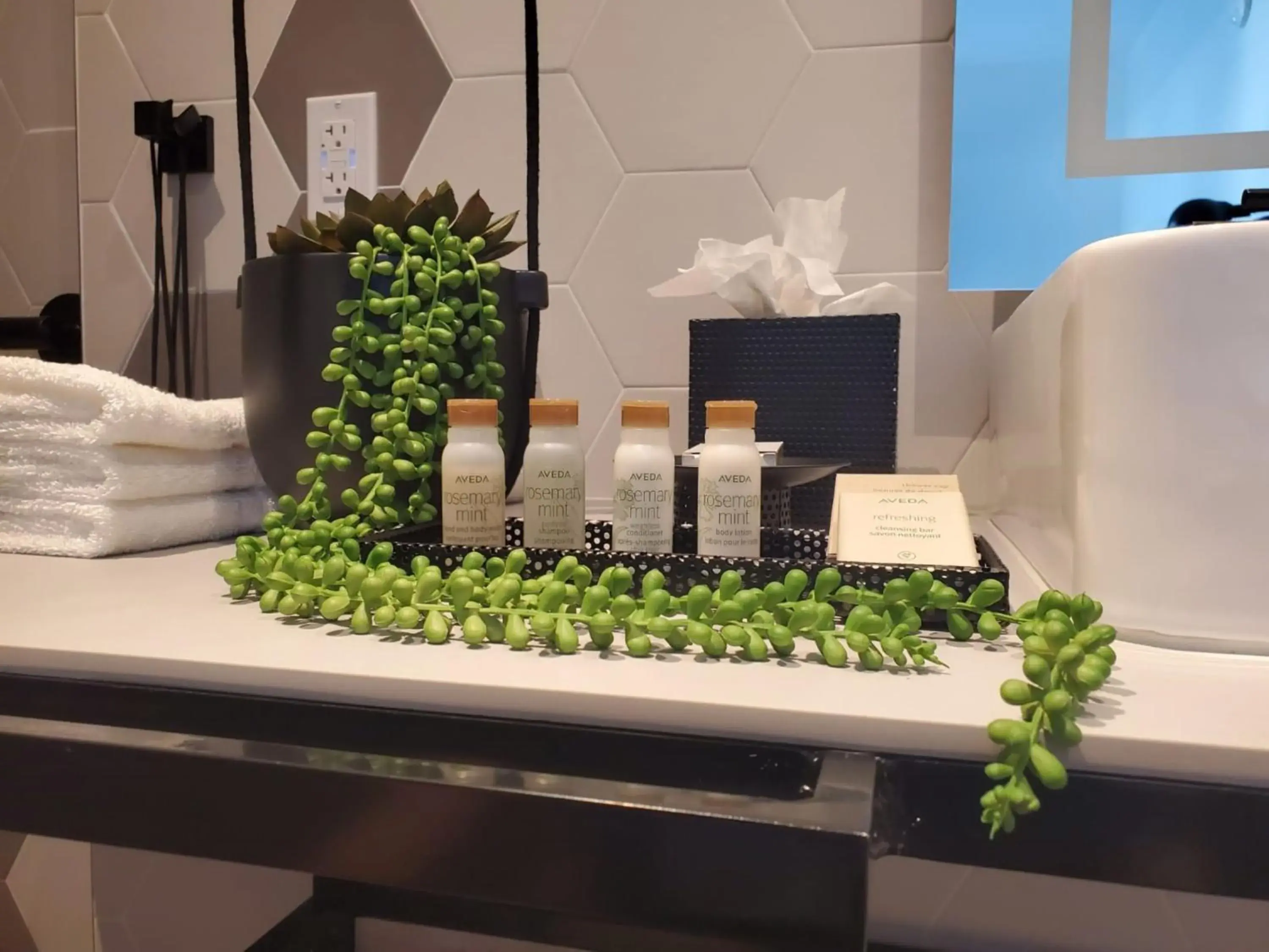 King Suite with Roll In Shower and Balcony - Mobility Accessible in Hotel Indigo Miami Brickell by IHG King Suite with Roll In Shower and Balcony - Mobility Accessible in Hotel Indigo Miami Brickell by IHG