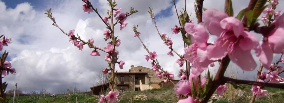 B&B Scacciapensieri - Vini d'Altura