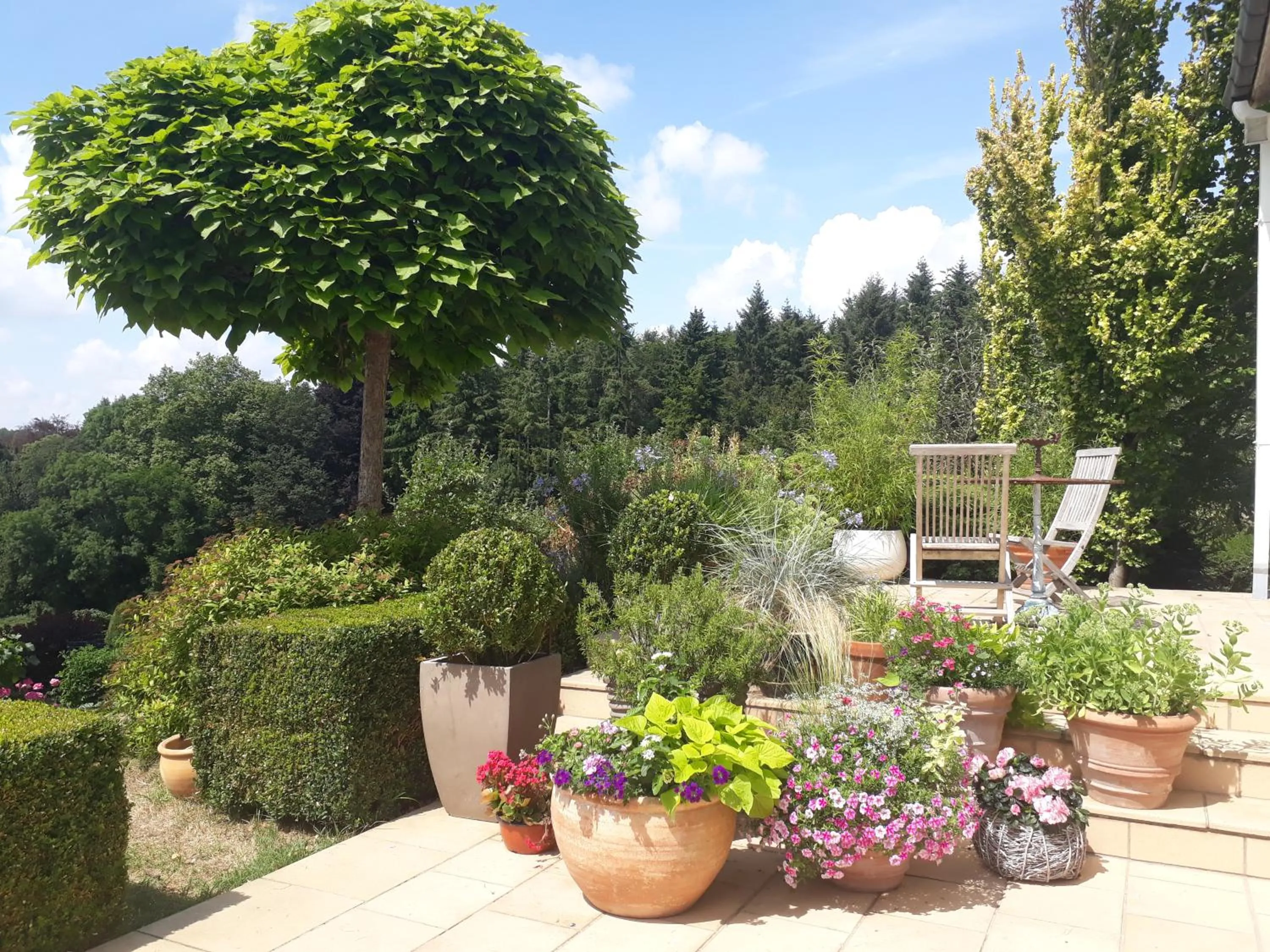 Garden view in B&B LES CRESSES