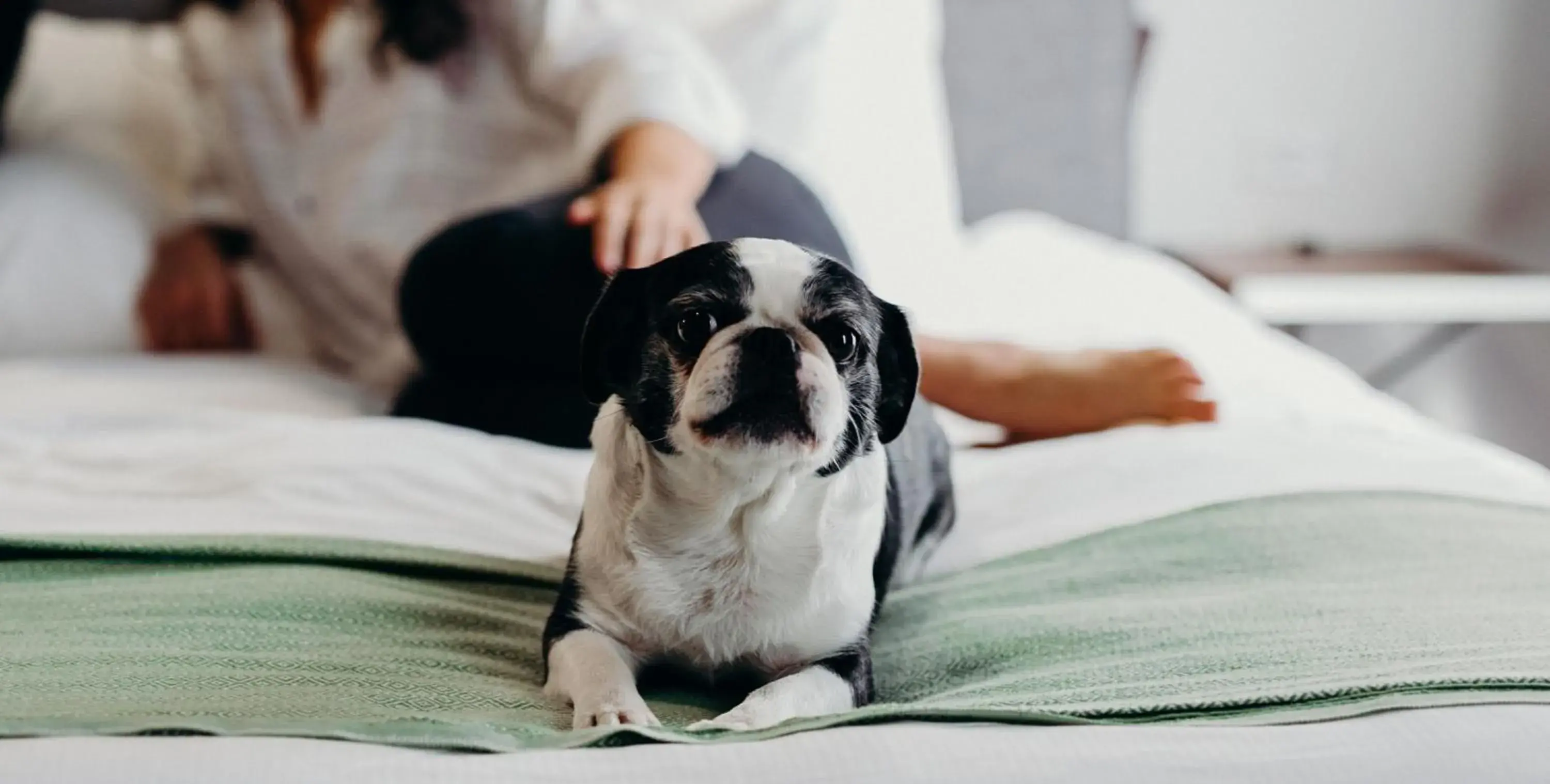 King Room - Disability Access/Non-Smoking in The Old No. 77 Hotel & Chandlery King Room - Disability Access/Non-Smoking in The Old No. 77 Hotel & Chandlery