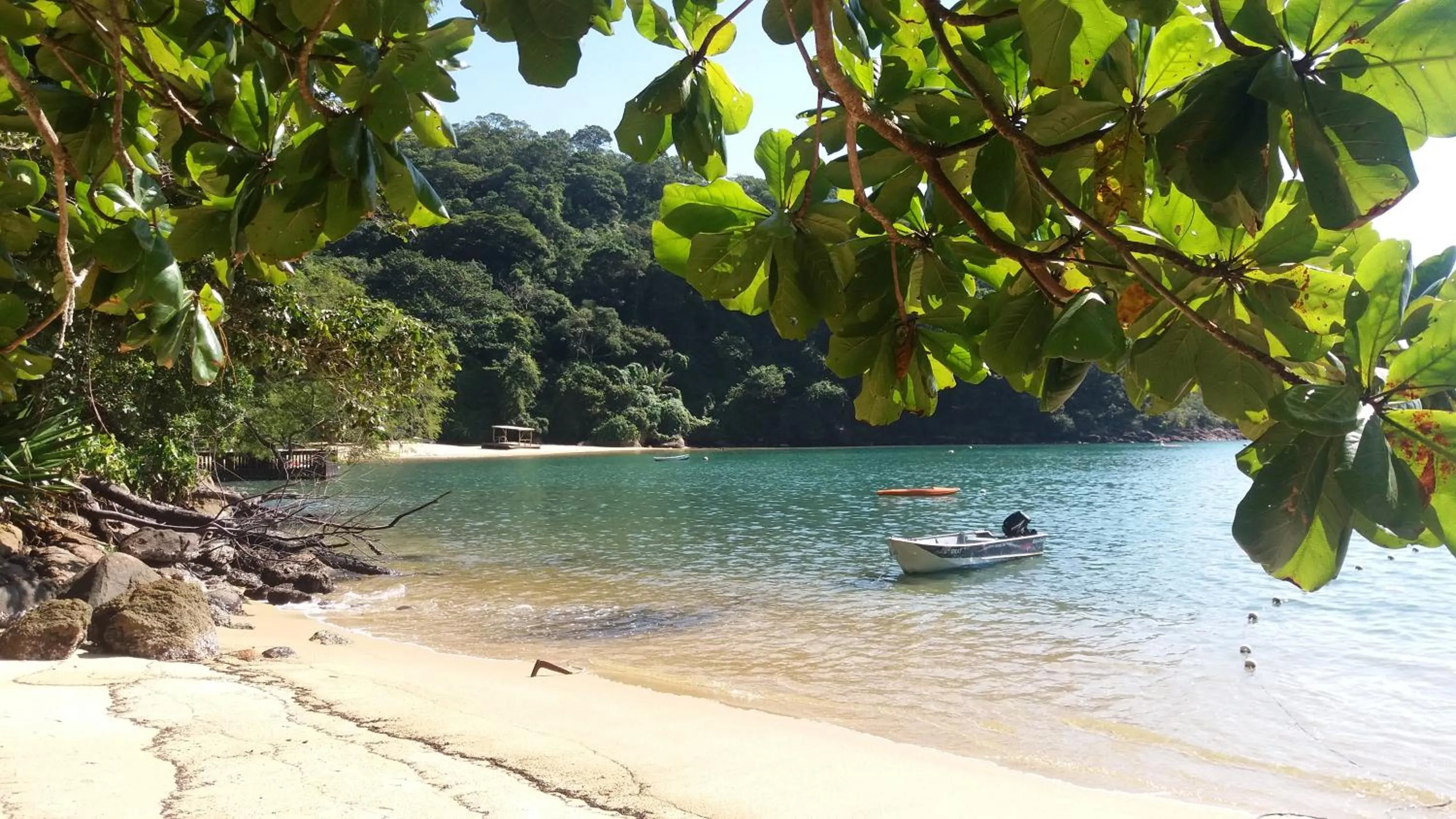 Natural landscape in O Sitio - Ilha Grande