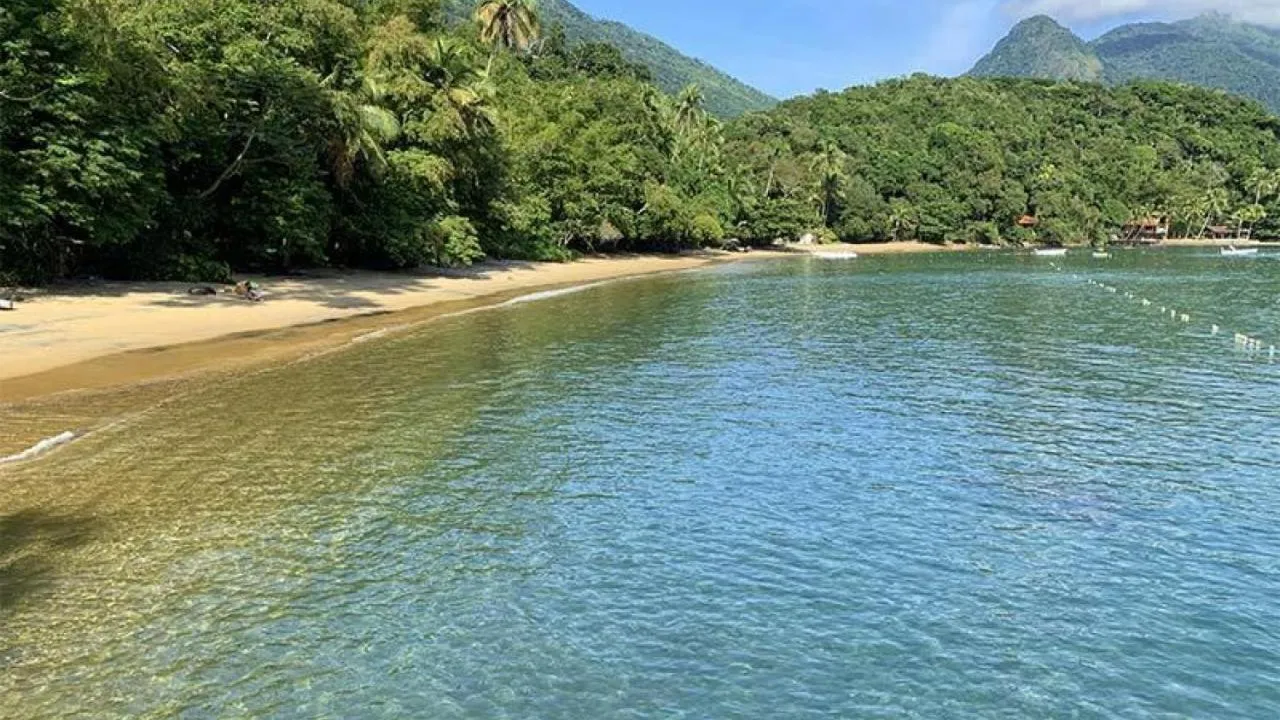 Natural landscape in O Sitio - Ilha Grande