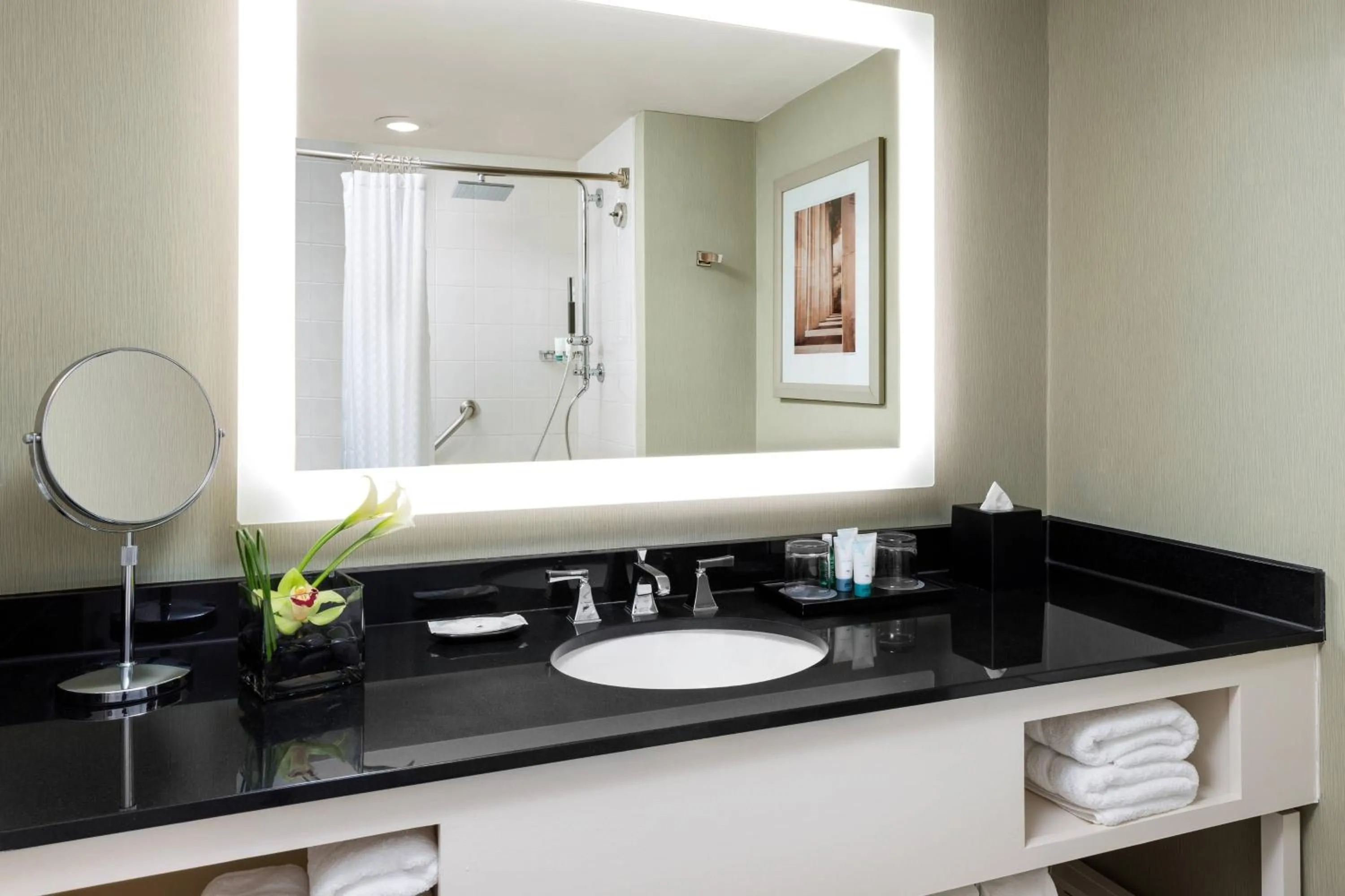 Bathroom in The Westin Arlington