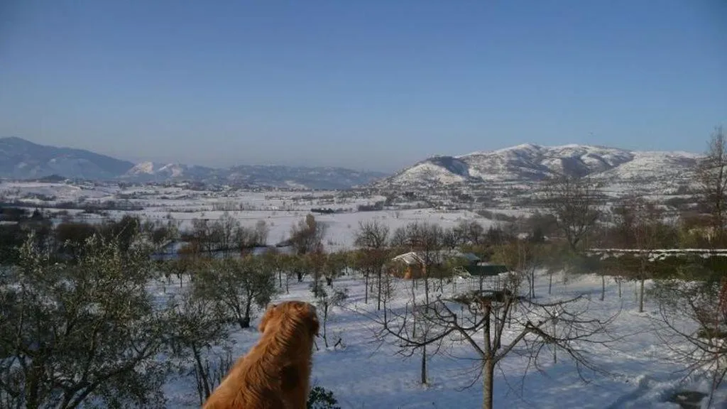 Il Bruco appartamenti in b&b