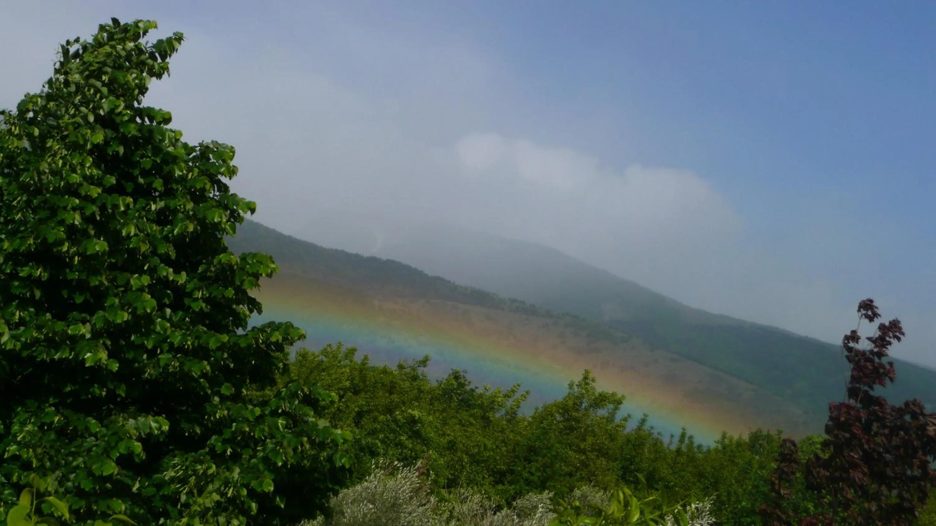 Il Bruco appartamenti in b&b