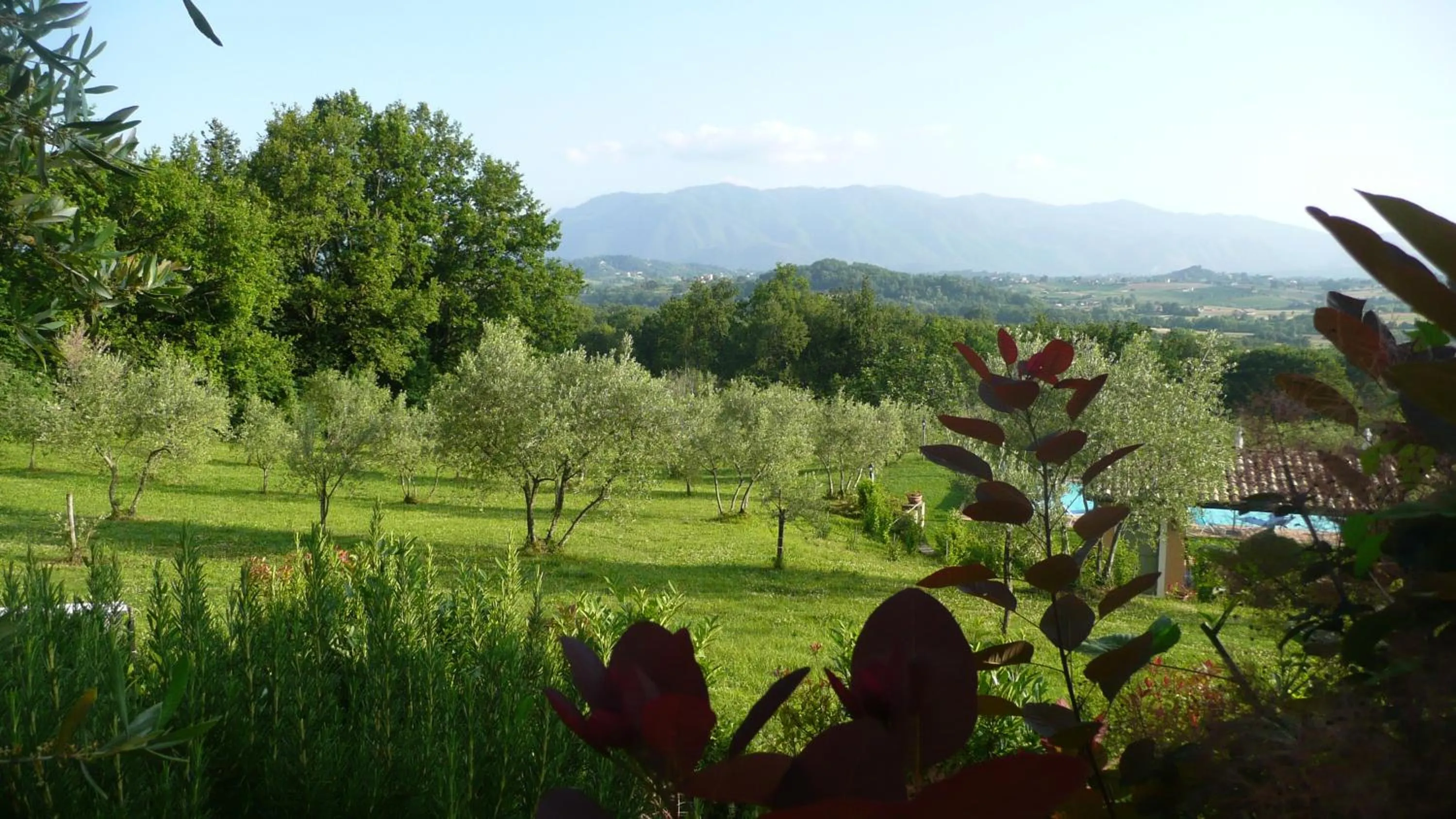 Garden in Il Bruco appartamenti in b&b
