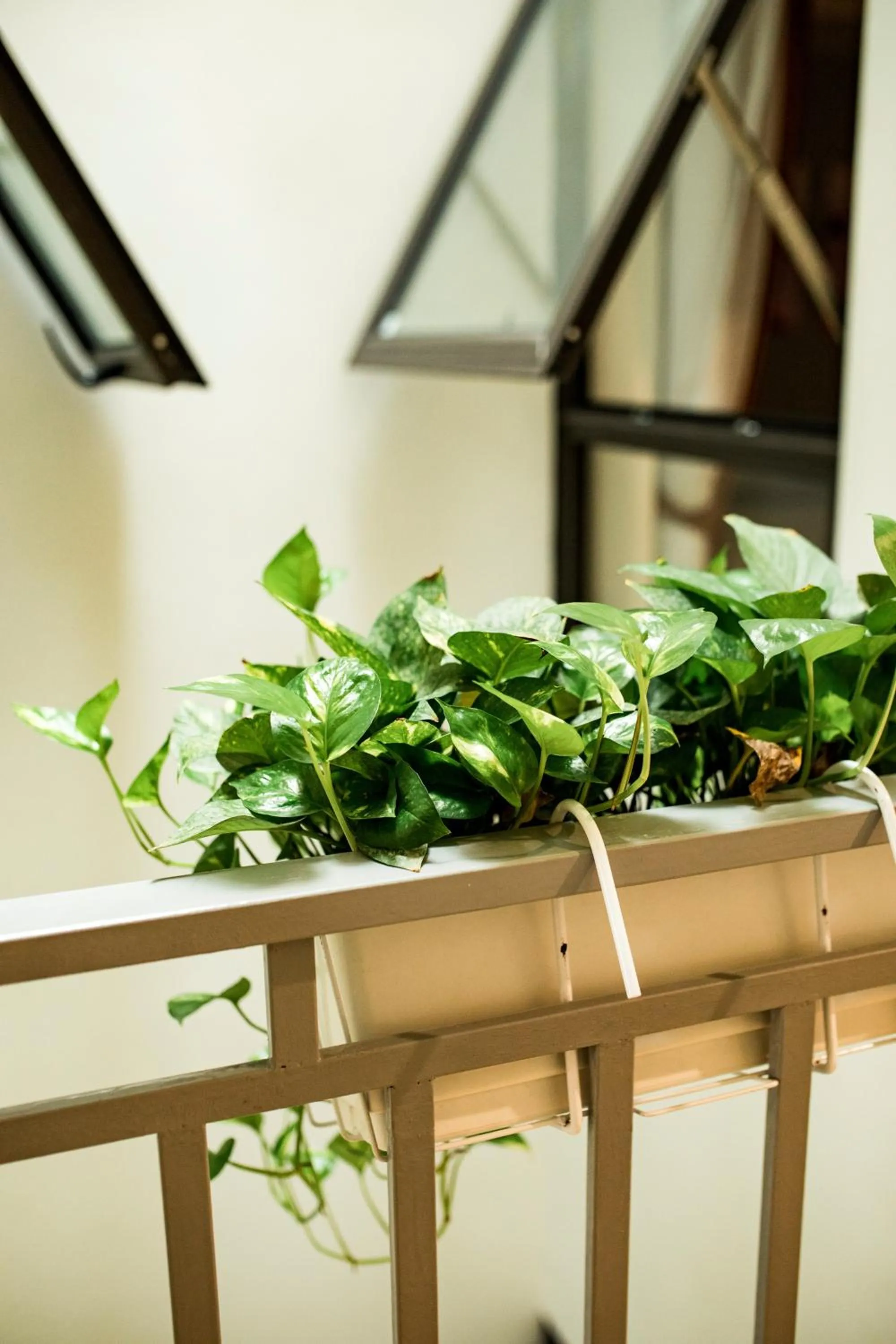 New Sky Airport Hotel