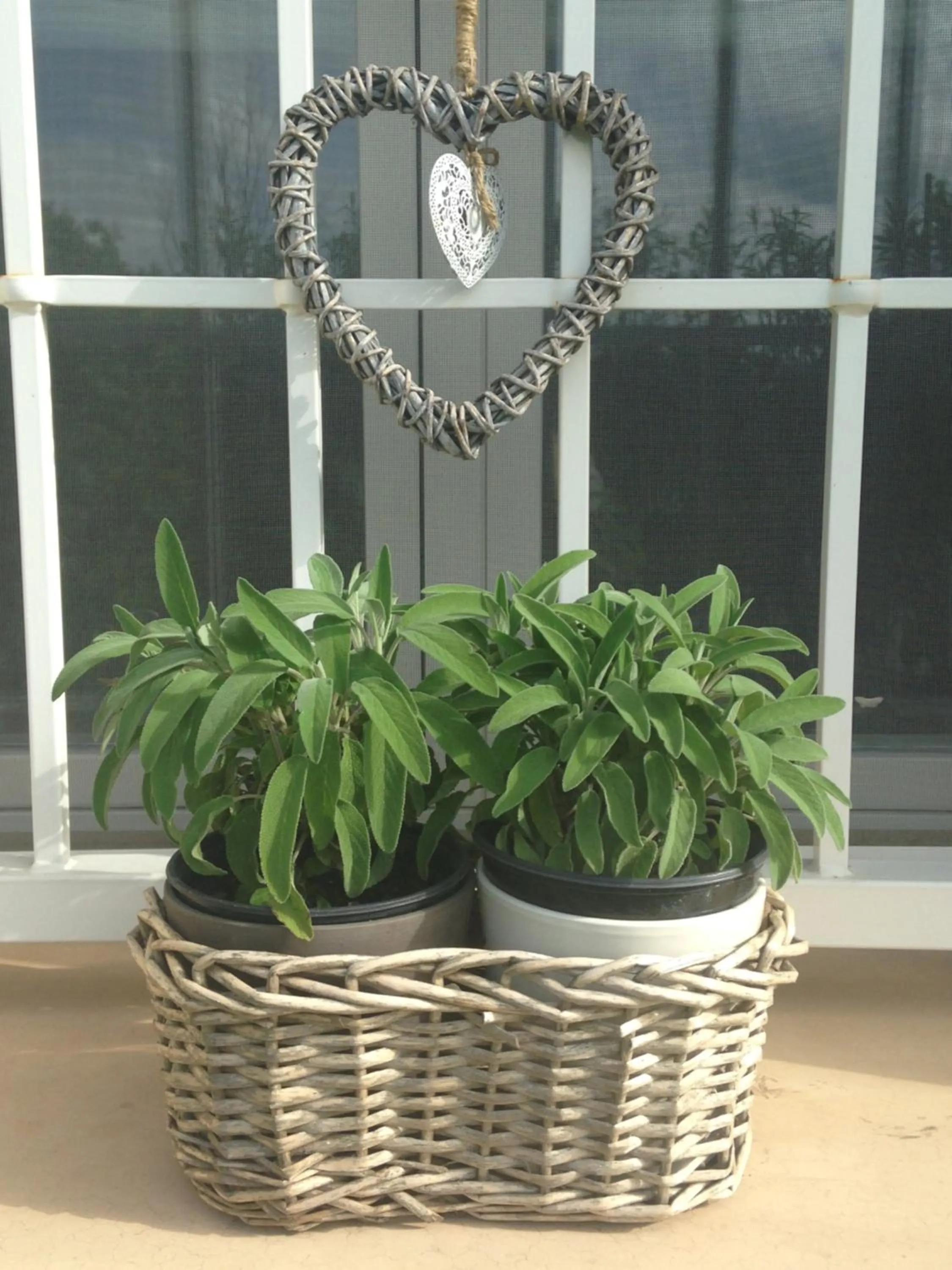 Property building in Bed & Breakfast Case Osti