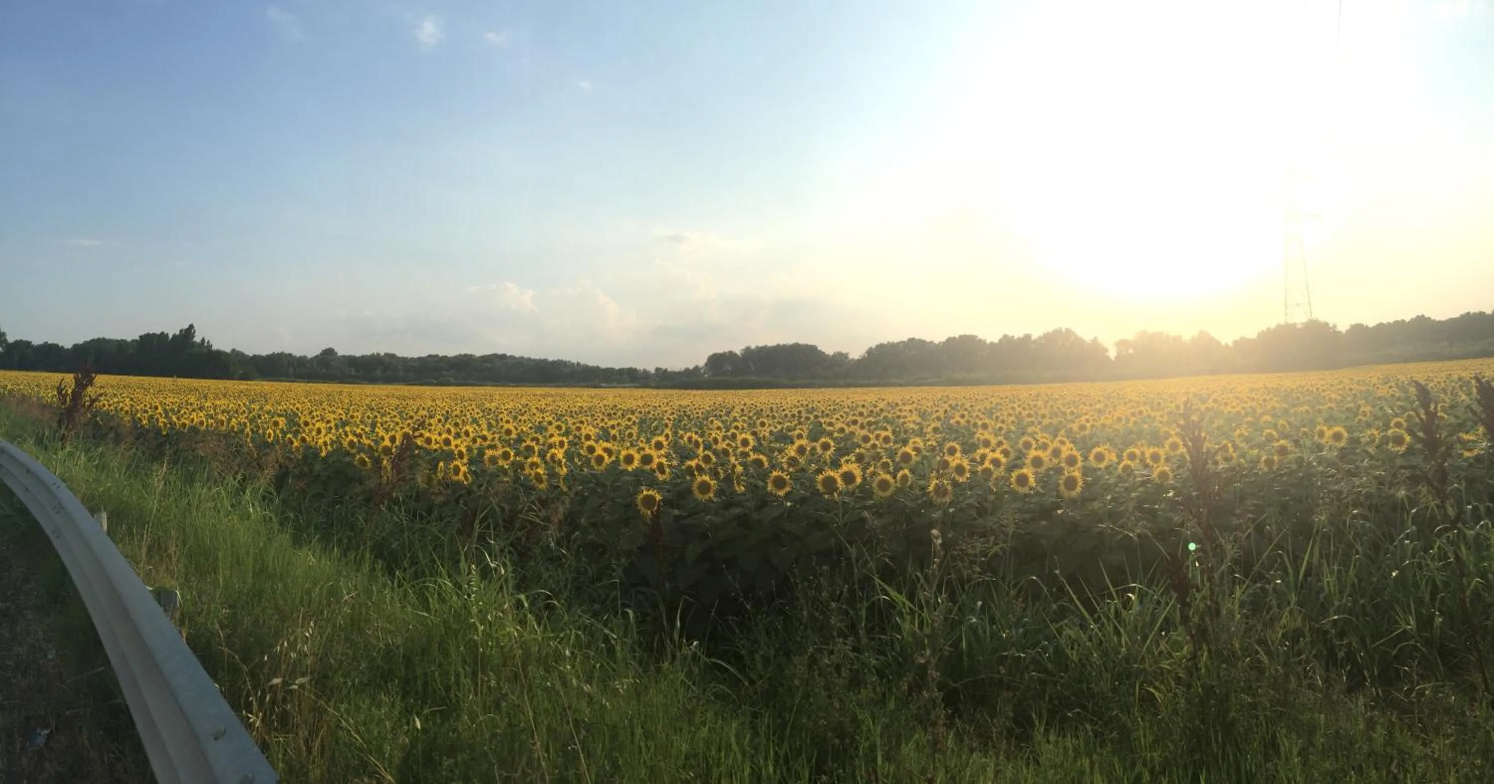 Property building in Bed & Breakfast Case Osti