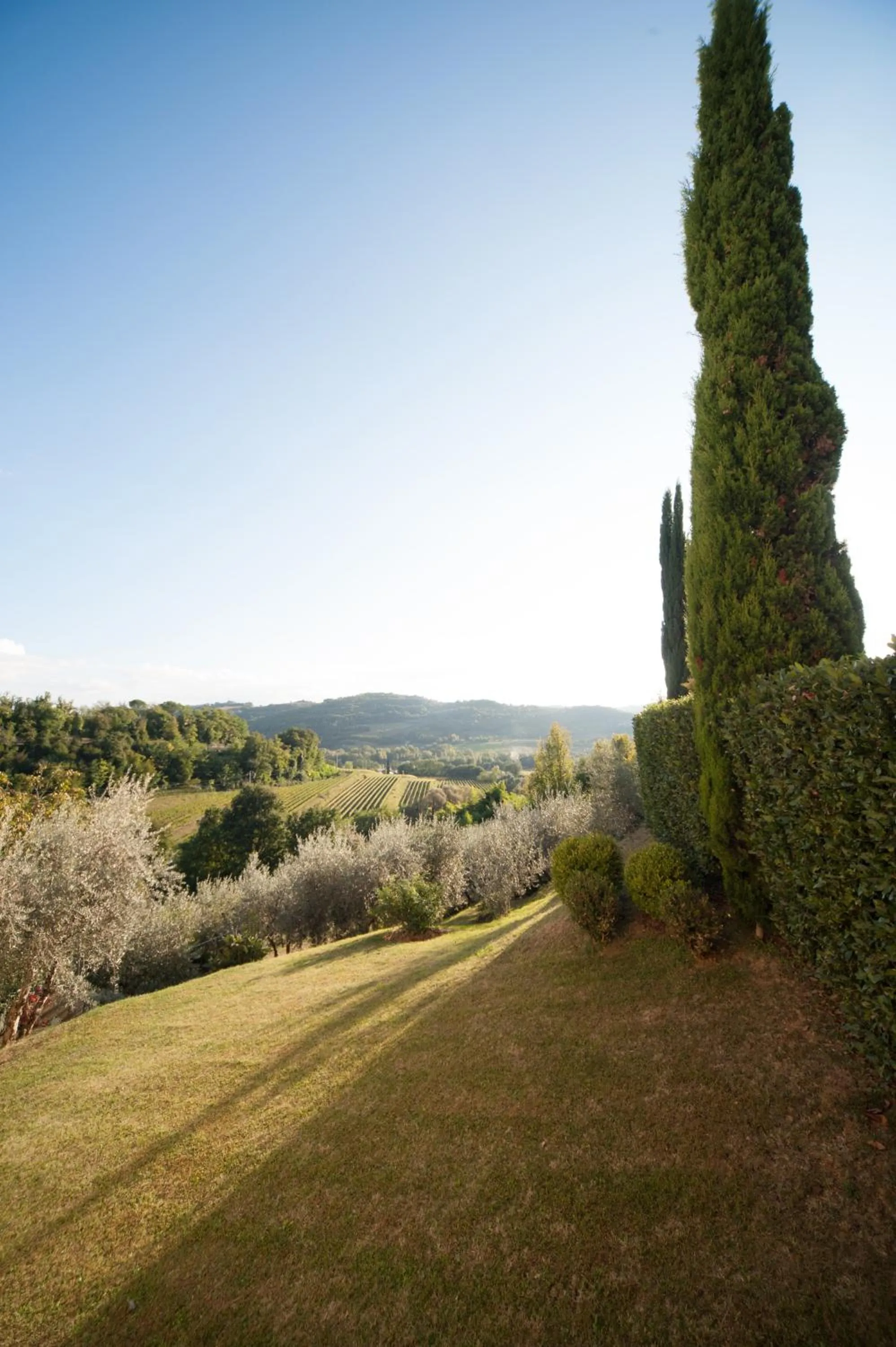 Garden in B&B Le Dimore Mezza Costa