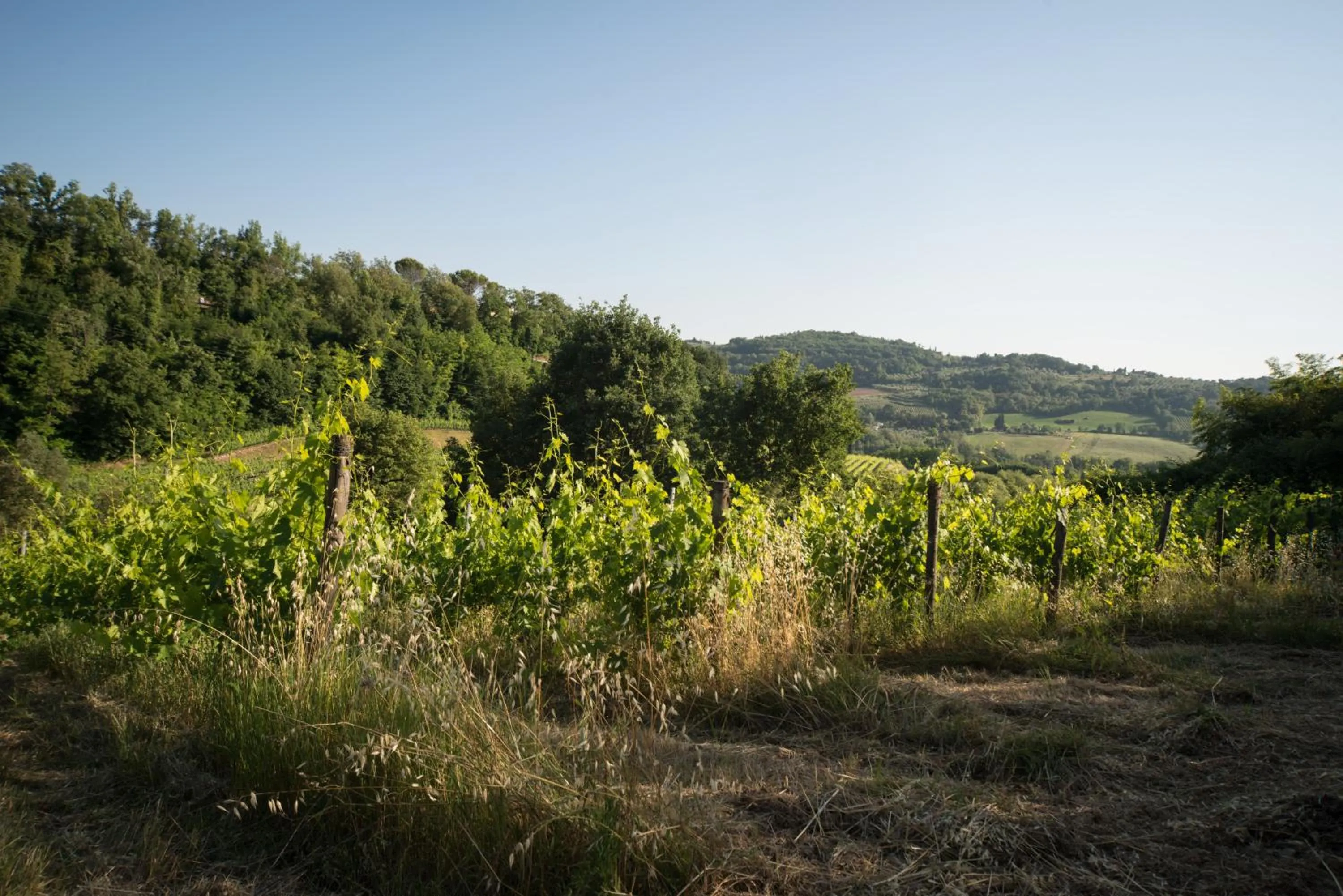Natural landscape in B&B Le Dimore Mezza Costa