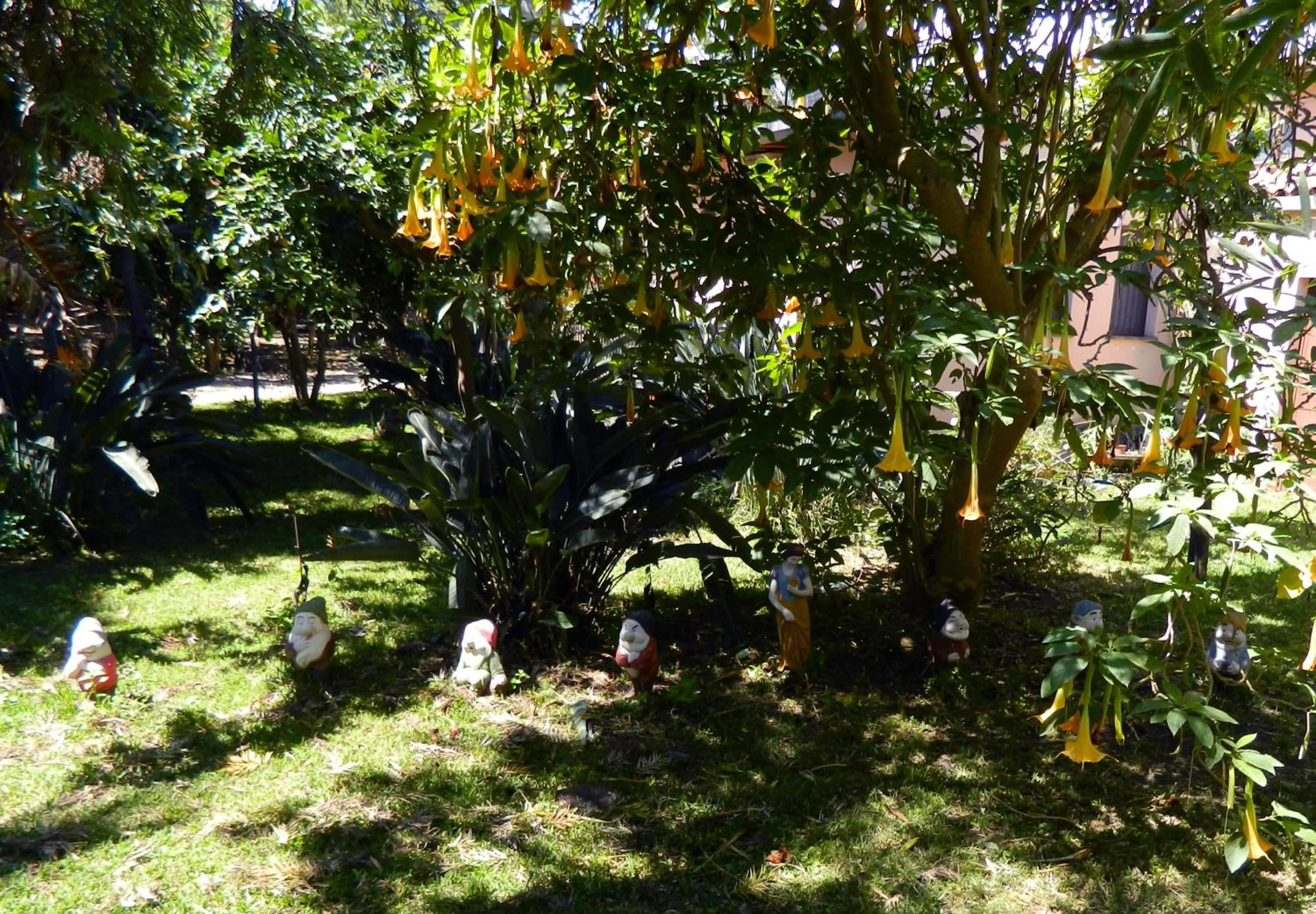 Agriturismo La Grevillea