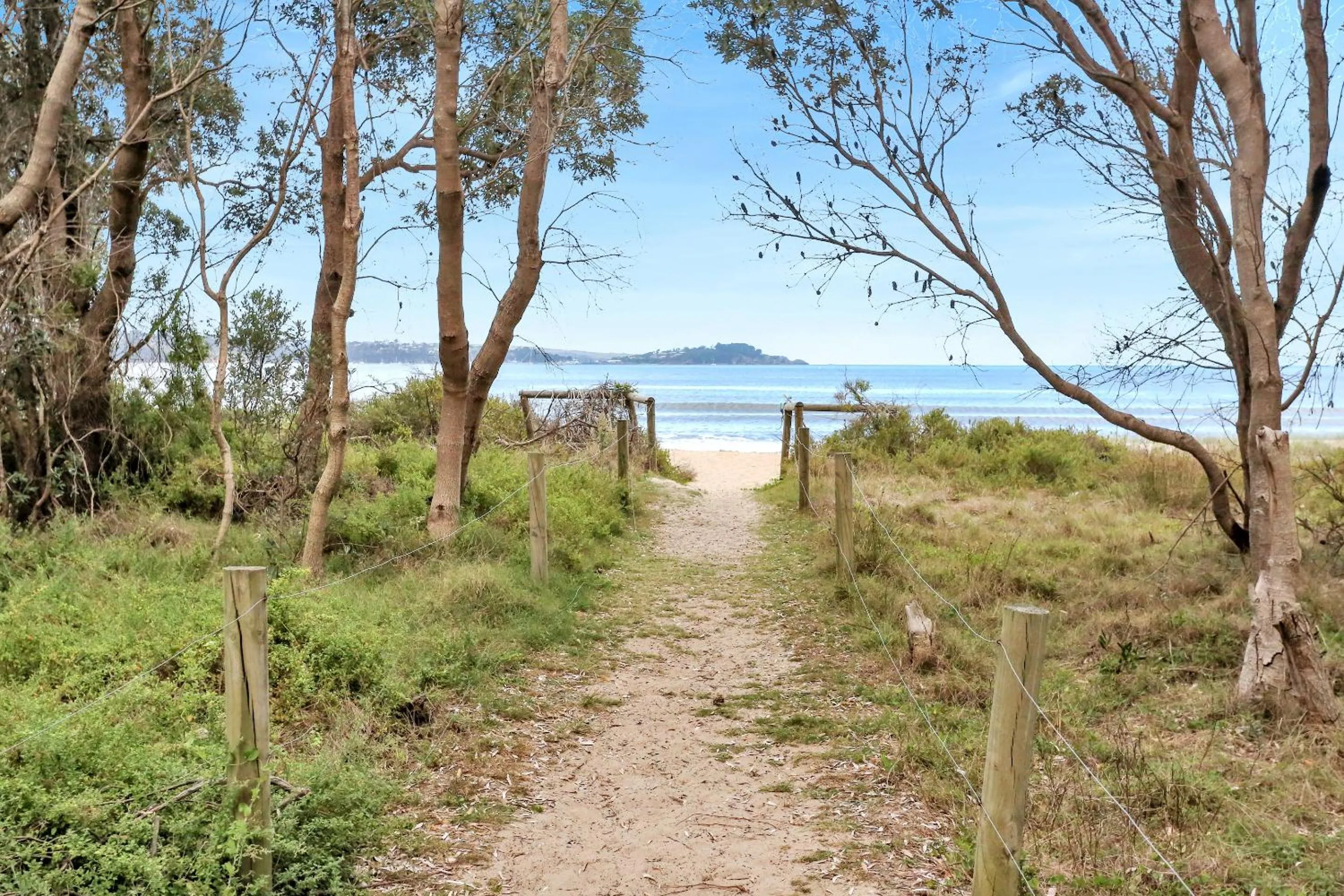 Natural landscape in Boydtown Beach Holiday Park