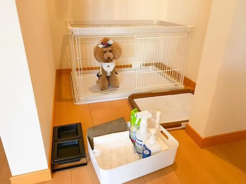 白馬パウダーマウンテン