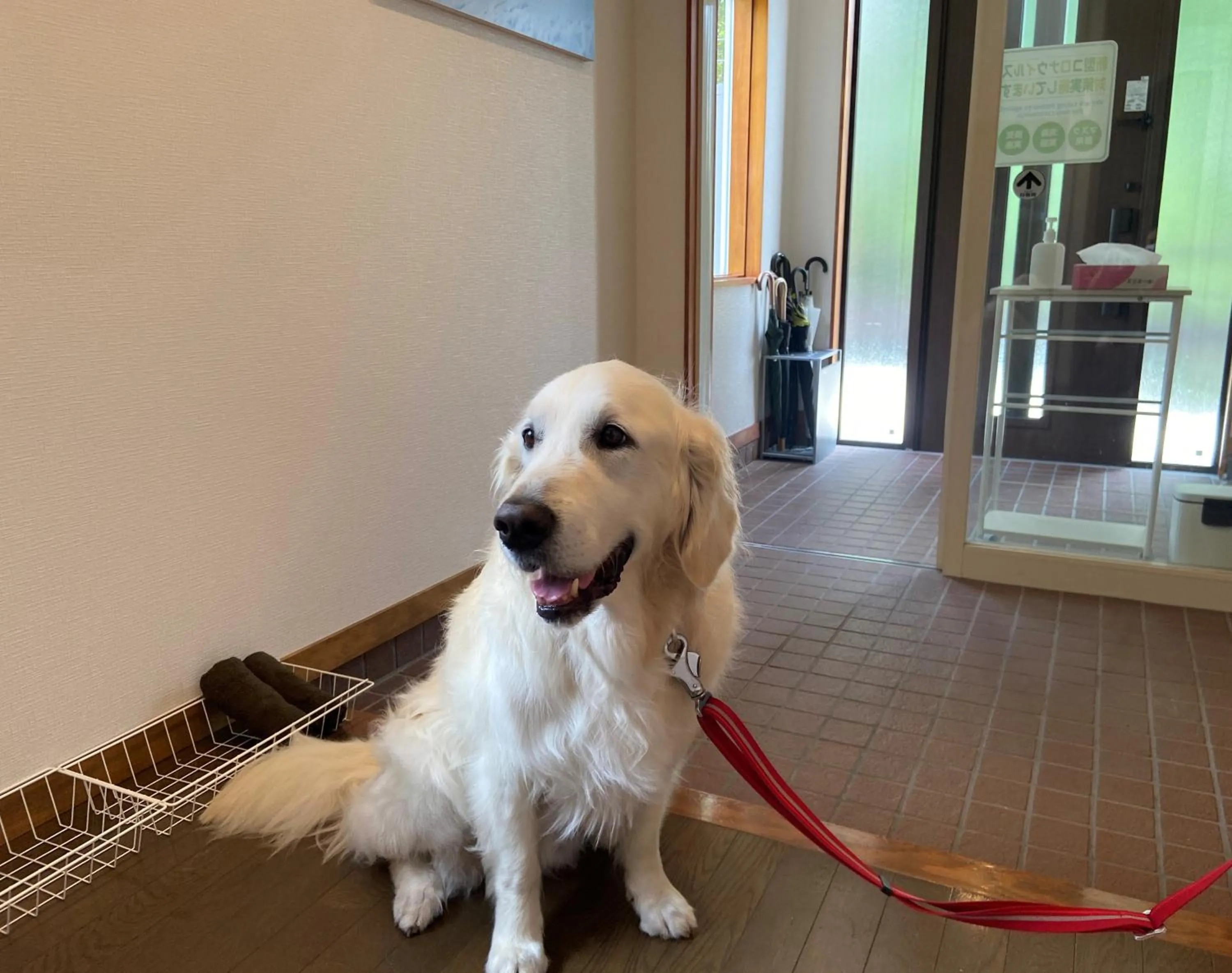 Facade/entrance in 白馬パウダーマウンテン