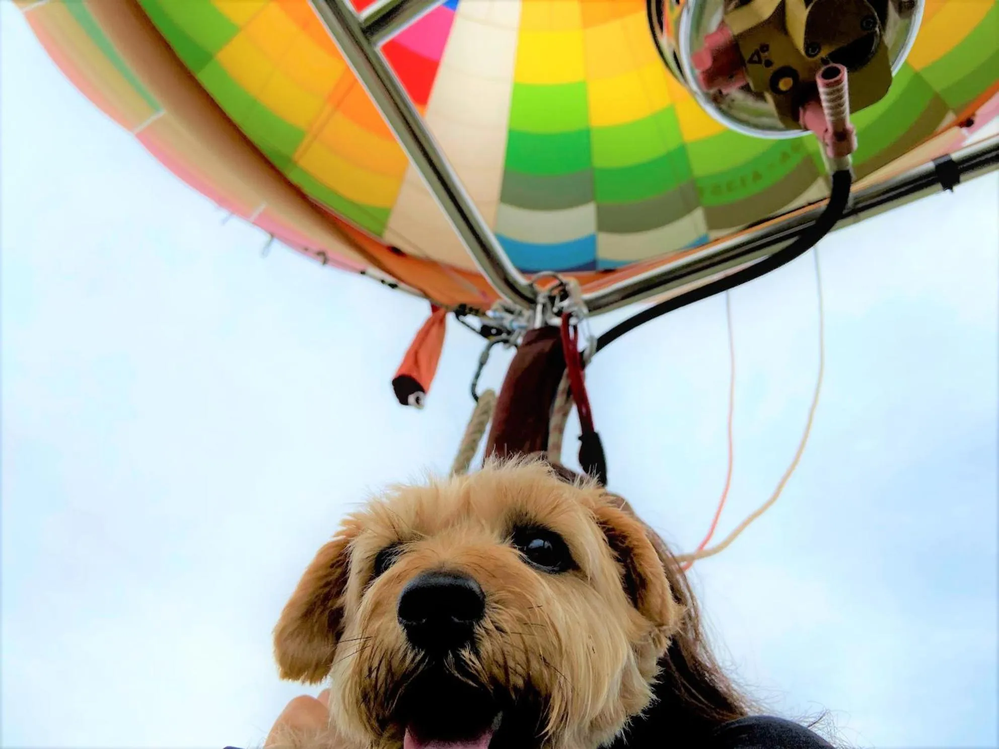 Activities in 白馬パウダーマウンテン