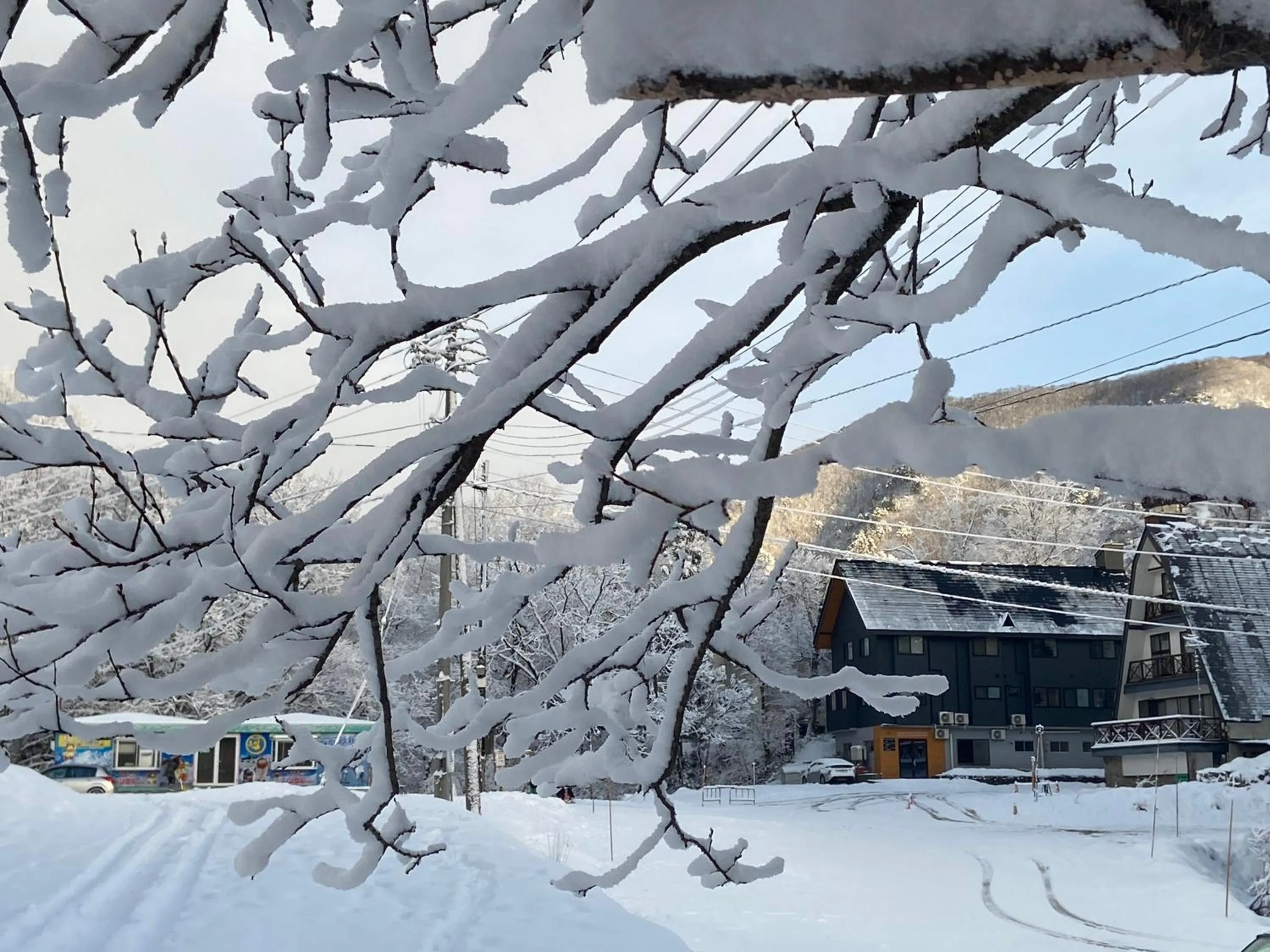 Winter in 白馬パウダーマウンテン