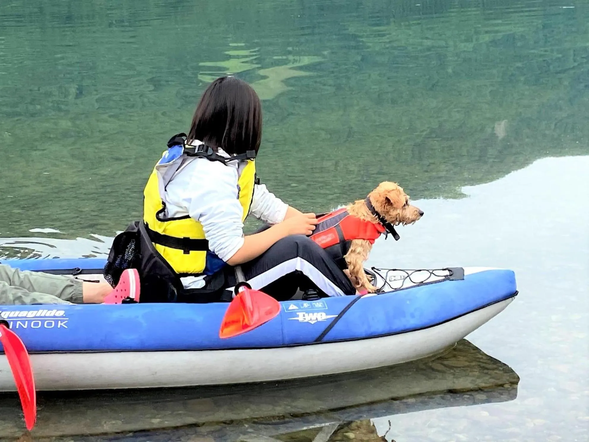 Natural landscape in 白馬パウダーマウンテン