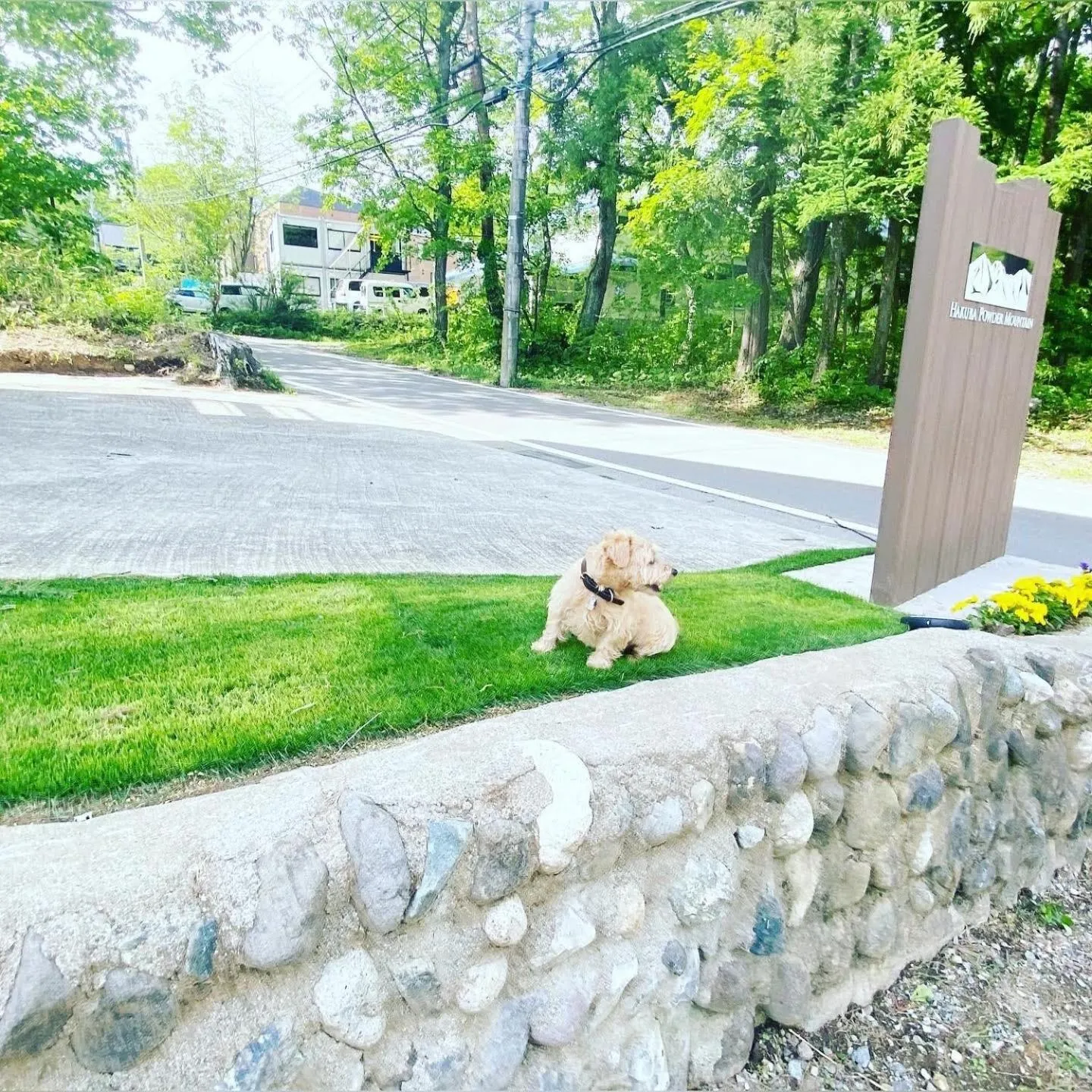 Property building in 白馬パウダーマウンテン