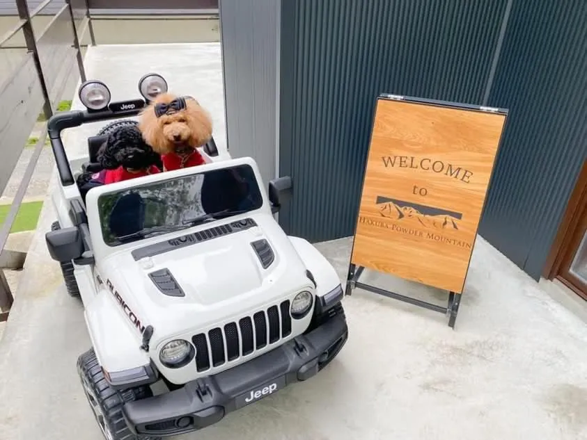 白馬パウダーマウンテン