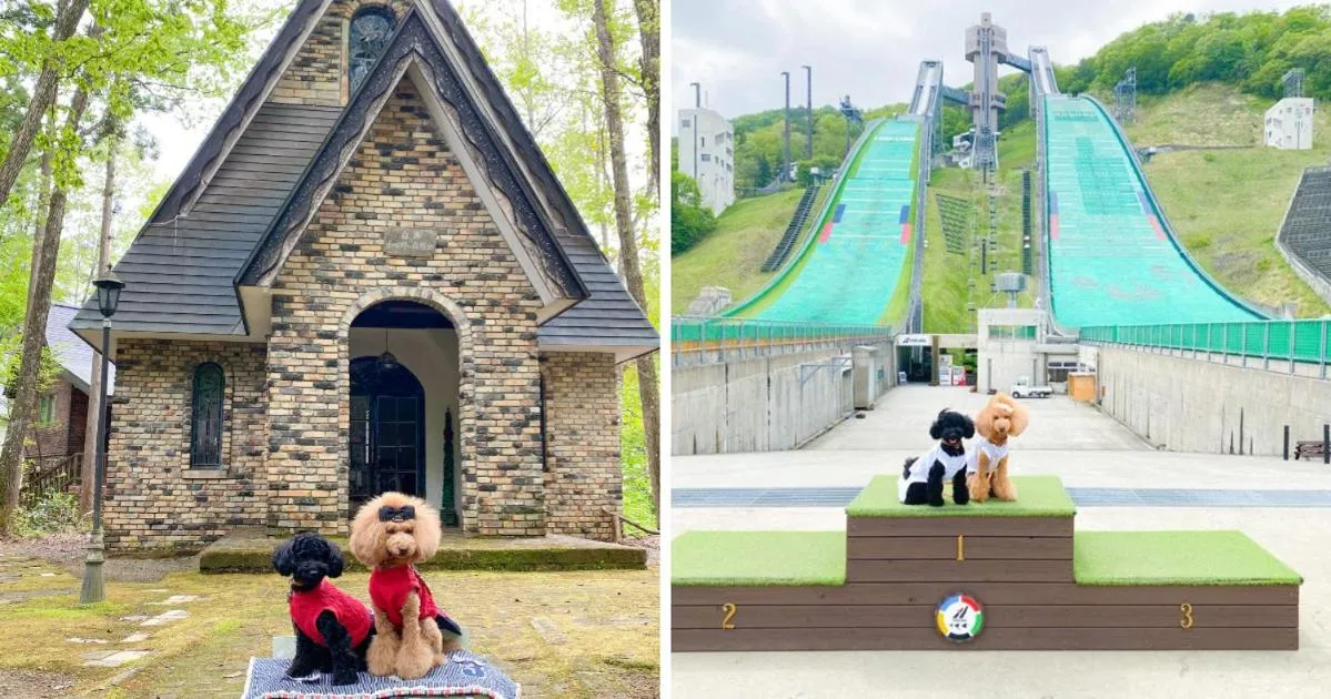 白馬パウダーマウンテン