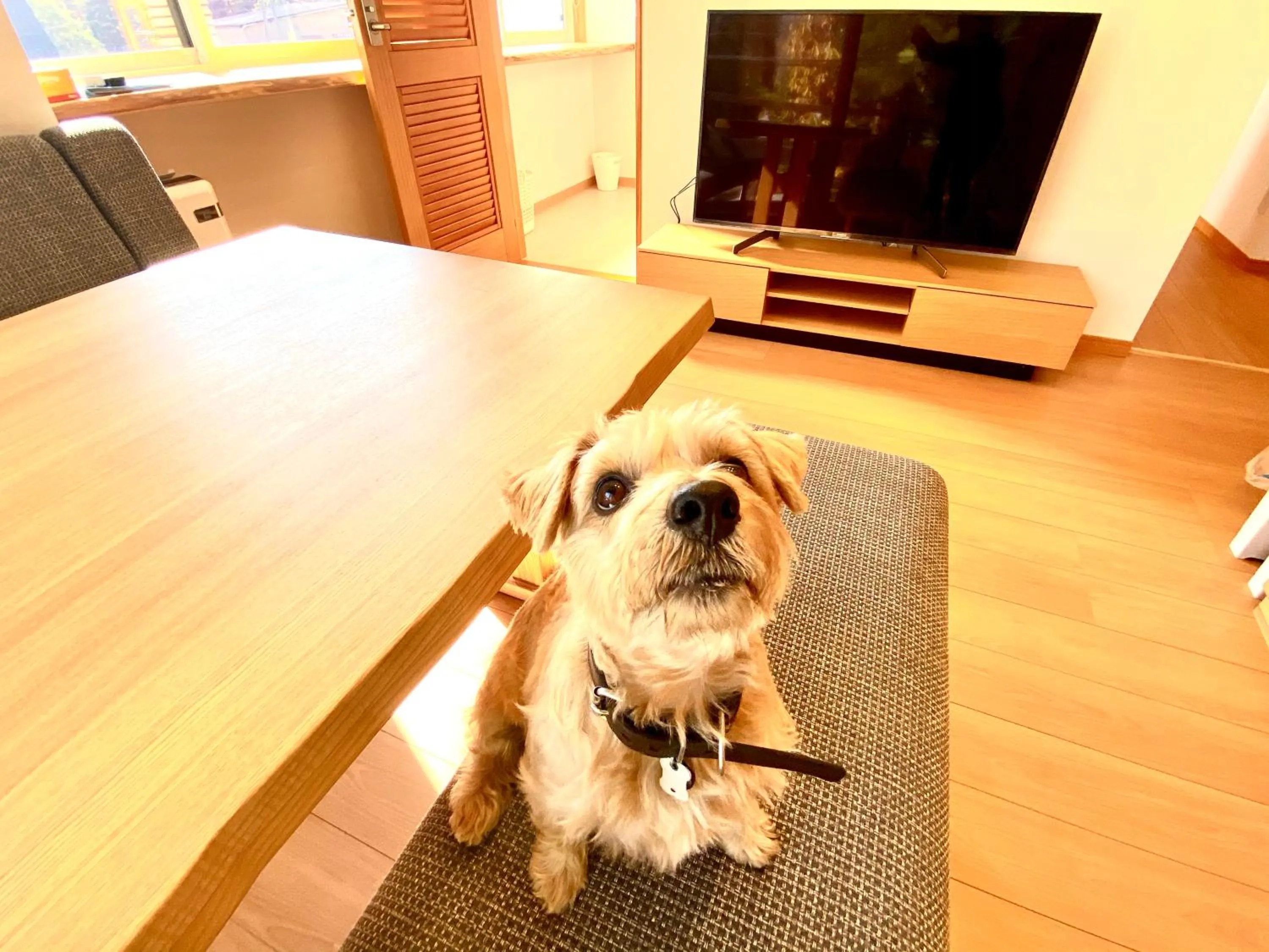 Living room in 白馬パウダーマウンテン