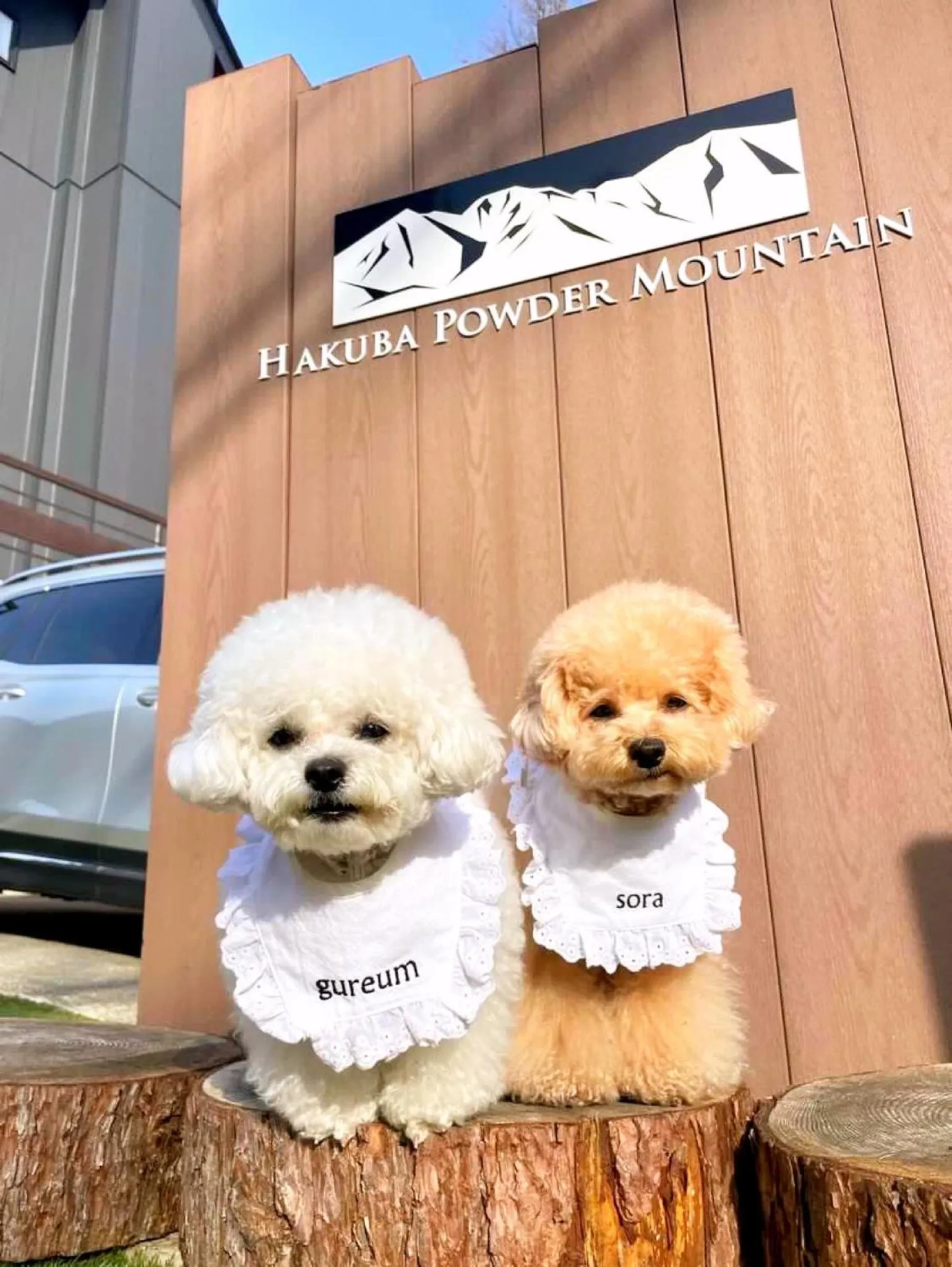 白馬パウダーマウンテン