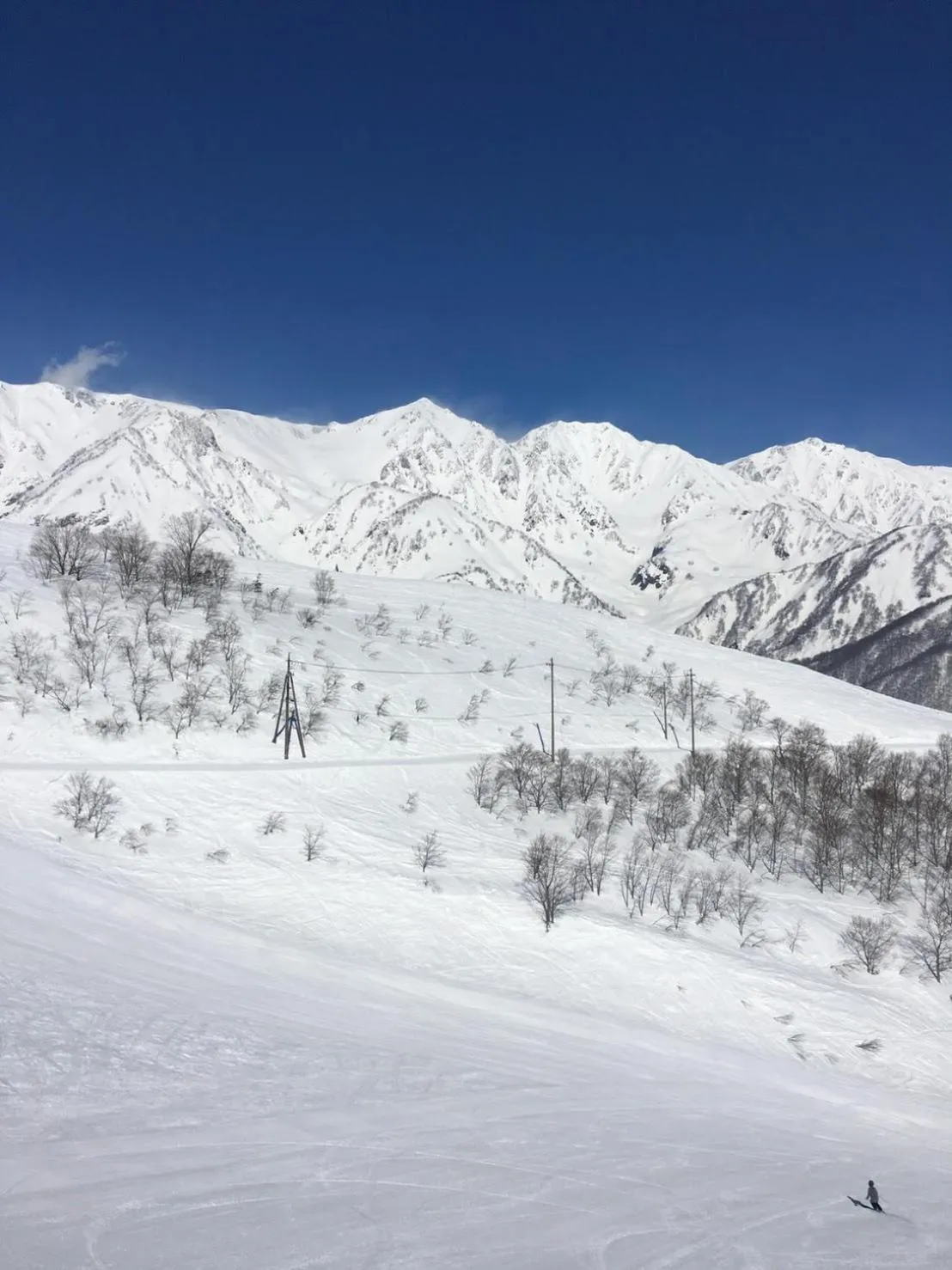 Natural landscape in 白馬パウダーマウンテン