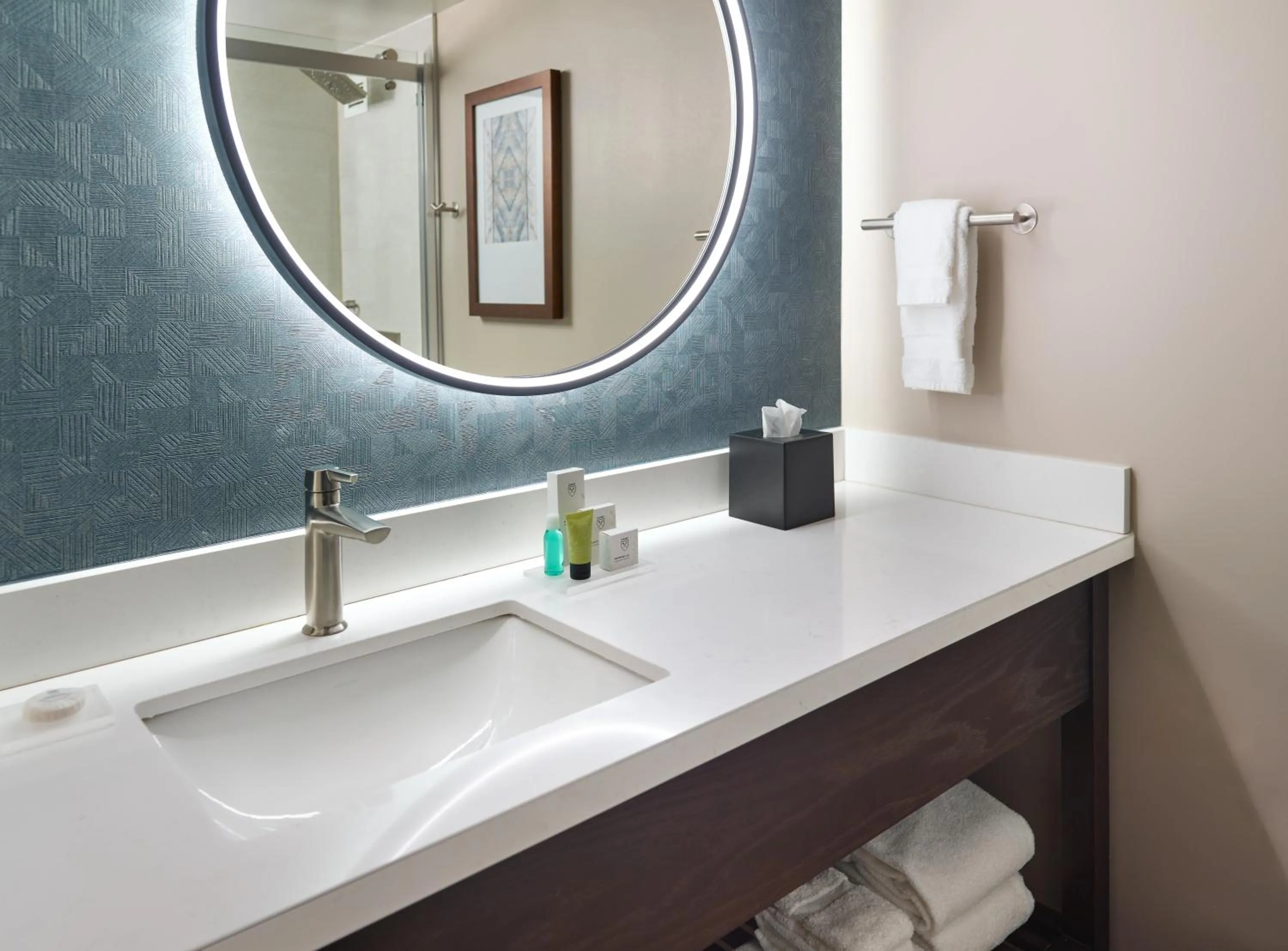 Bathroom in Emory Conference Center Hotel