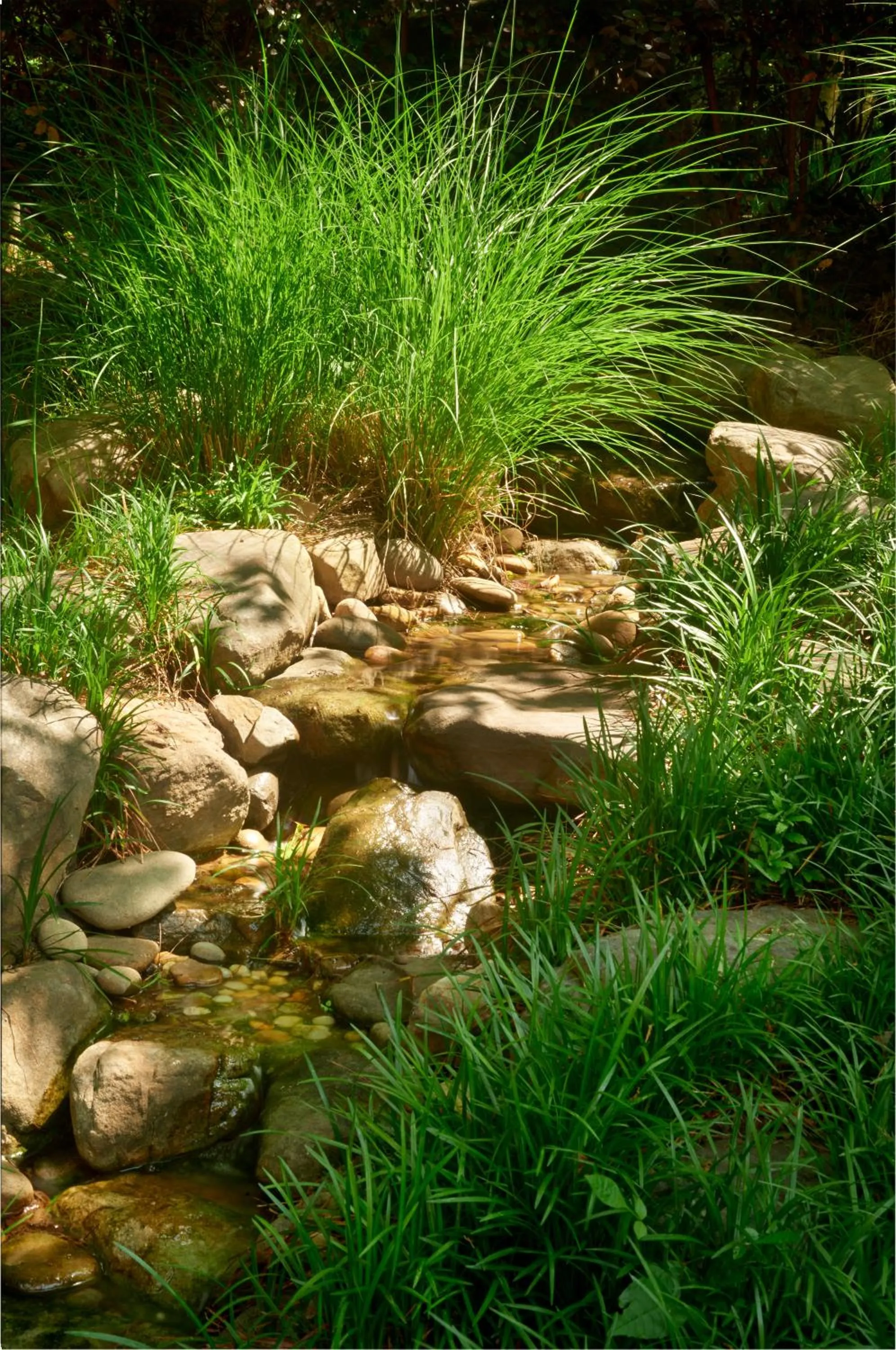 Garden in Emory Conference Center Hotel