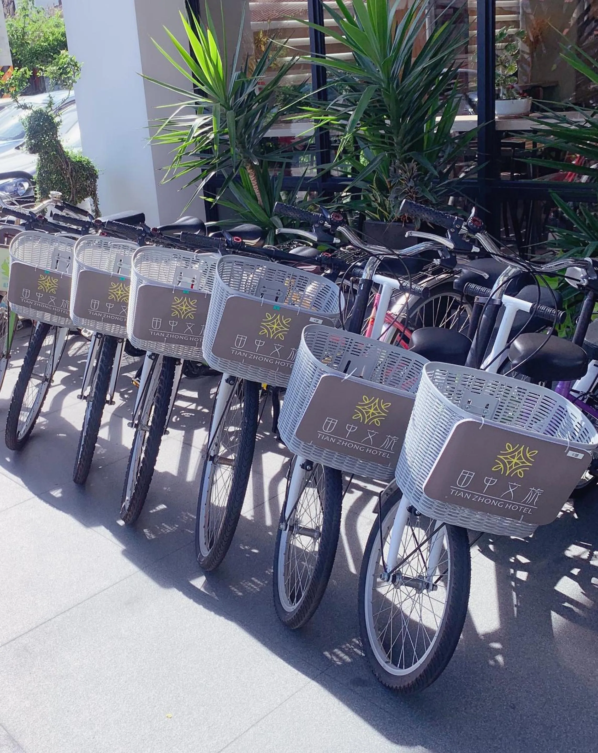 Cycling in Tian Zhong Hotel