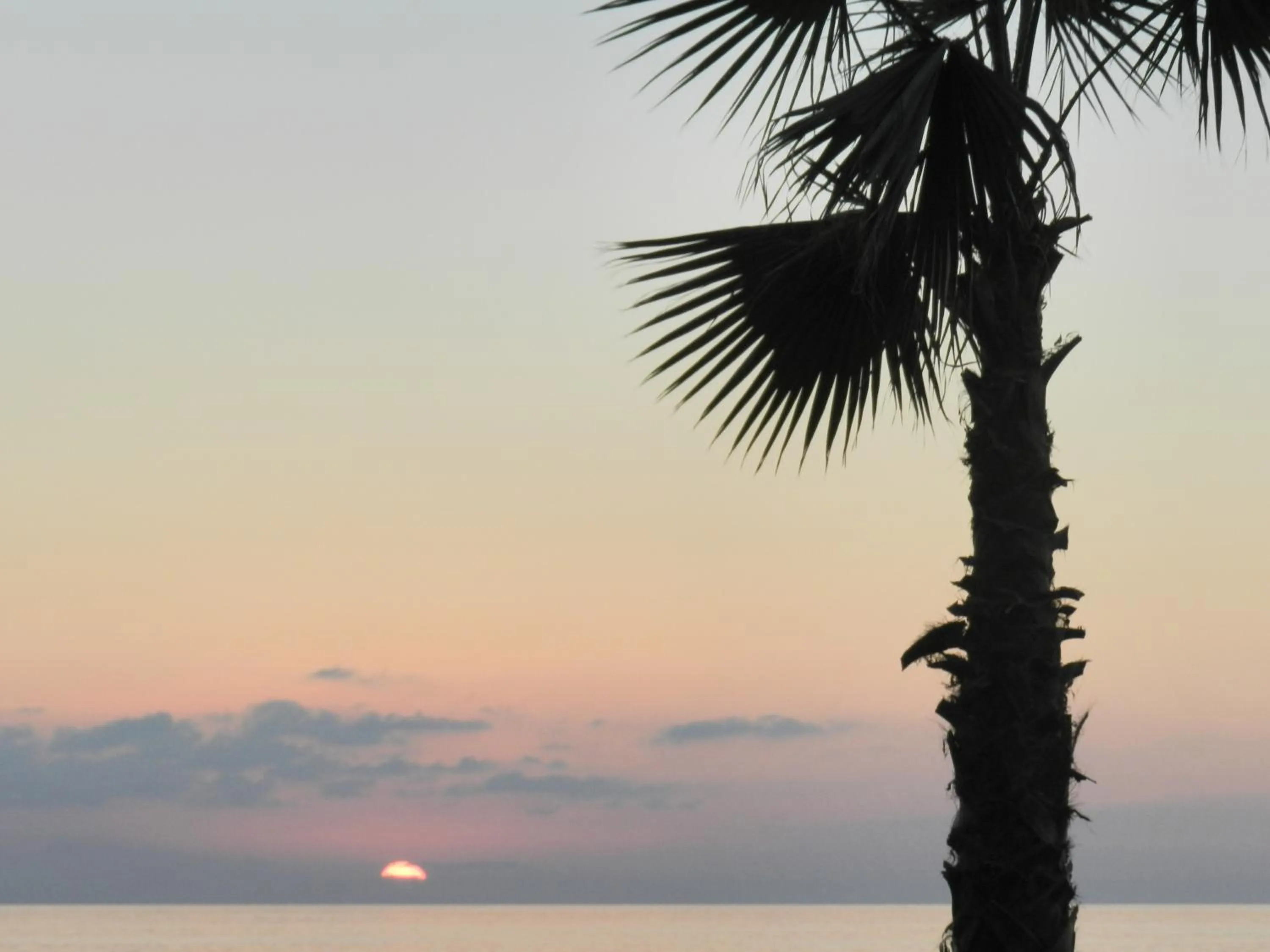 View (from property/room) in Hotel Il Mulino