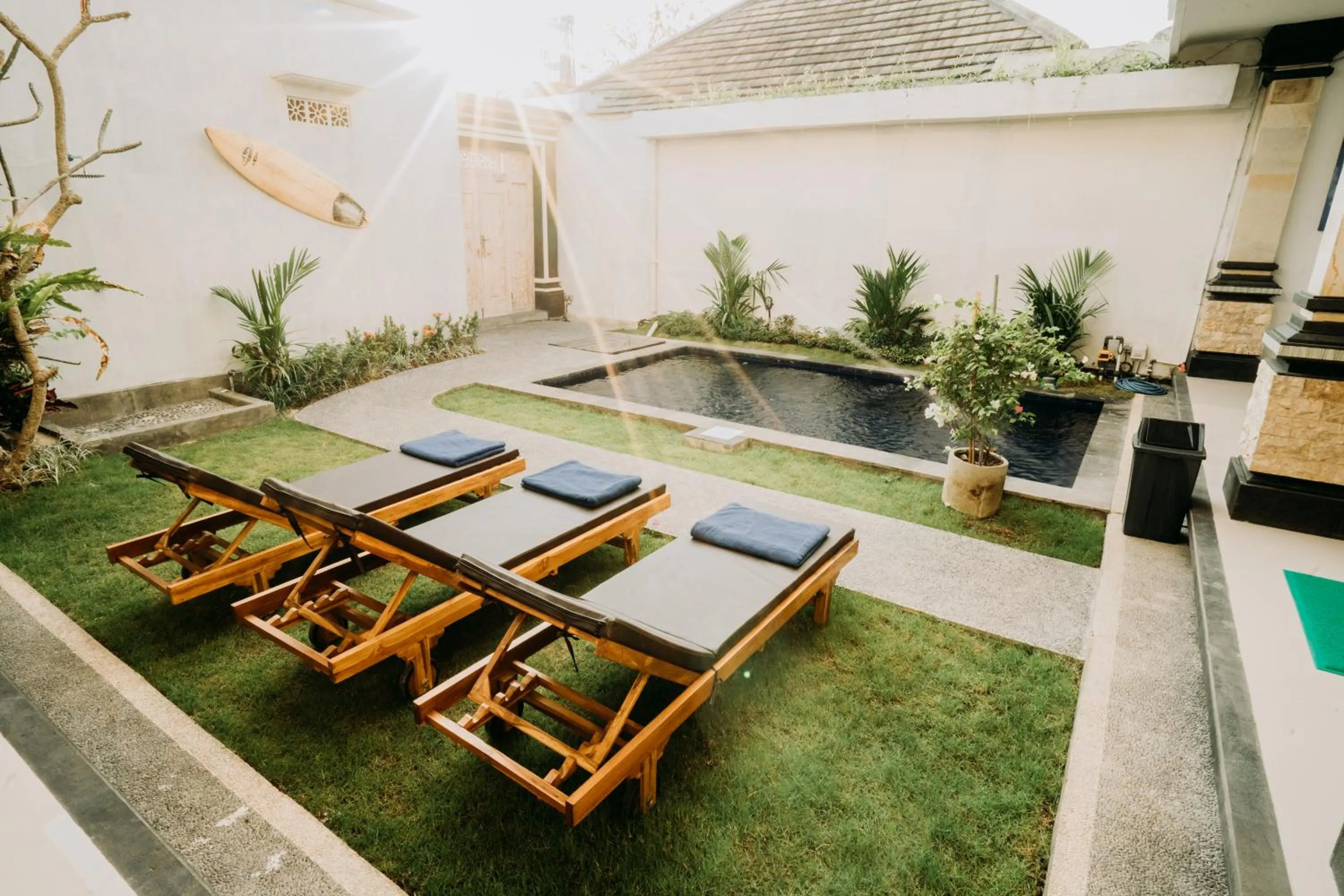 Garden in Nova Guest House